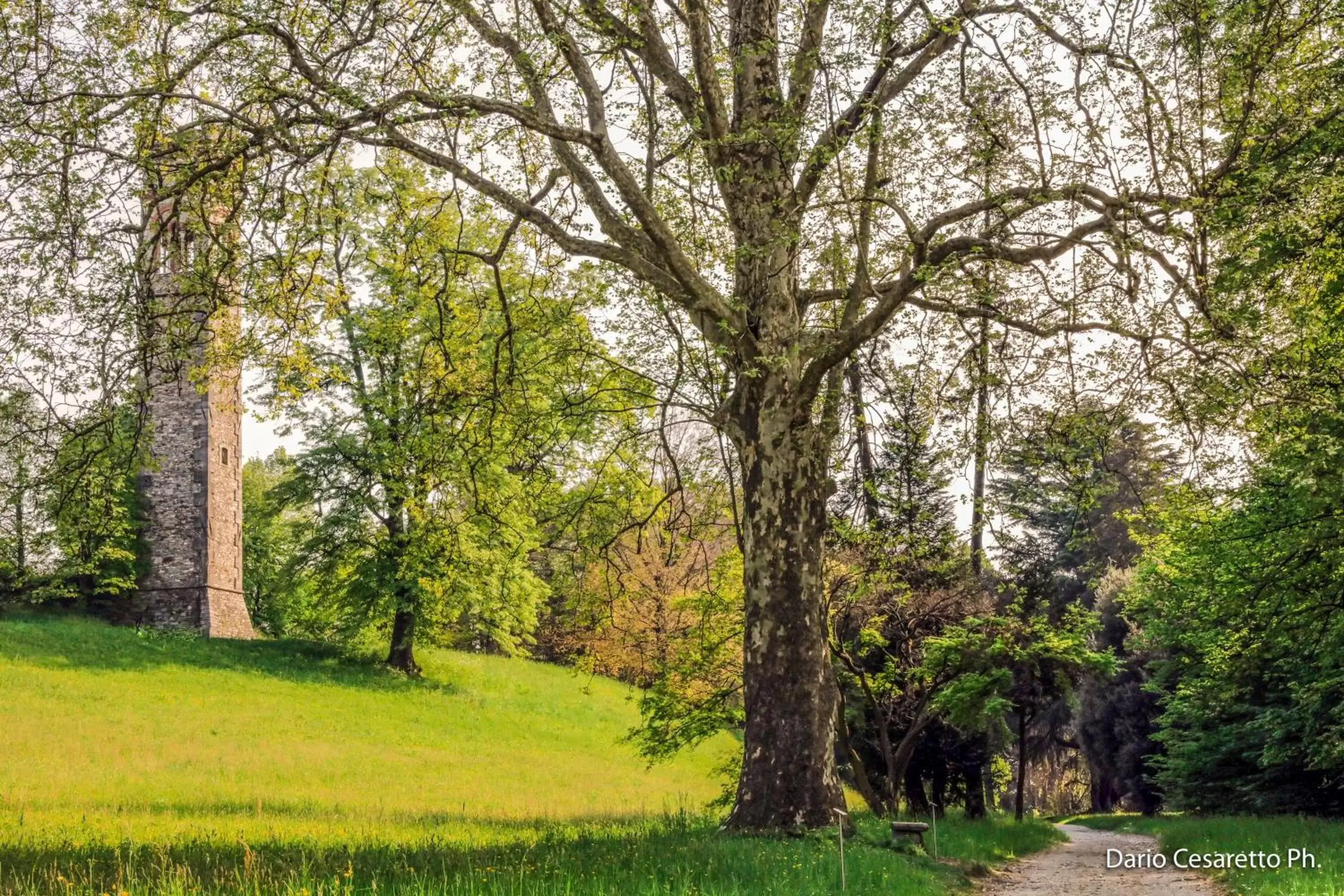 Natural landscape, Garden in Villa Cagnola