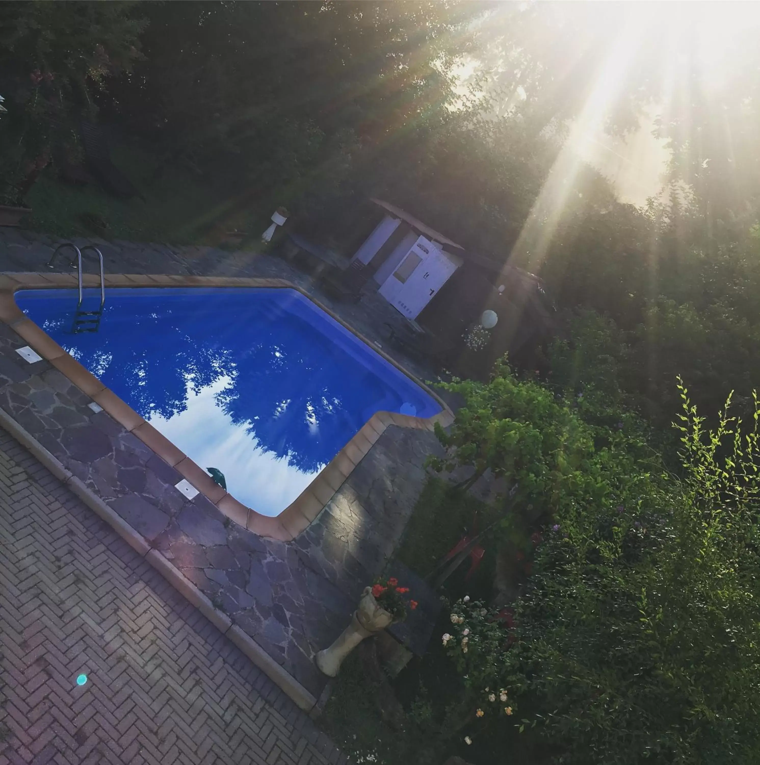 Pool View in B&B La Villarella dei Tulipani