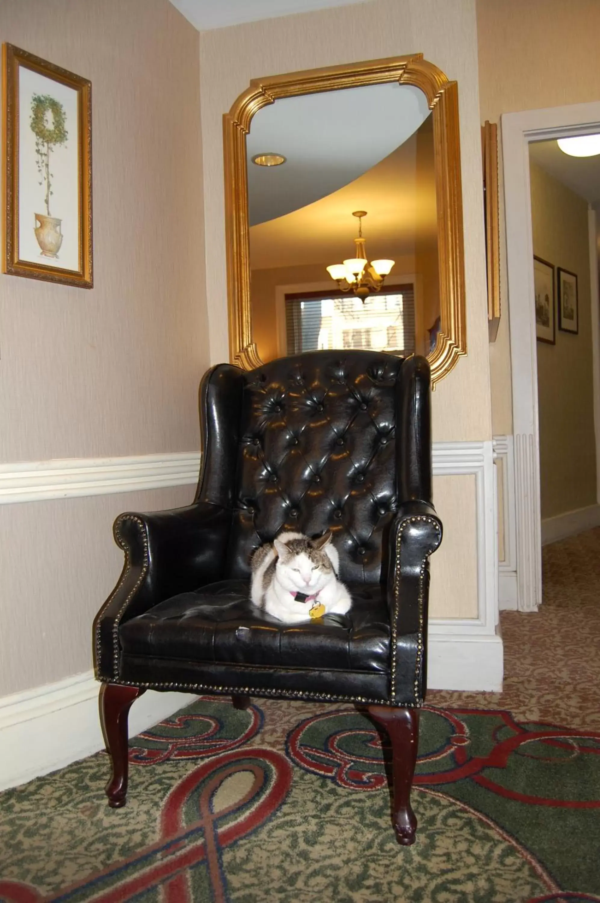 Seating Area in Windsor Inn Hotel