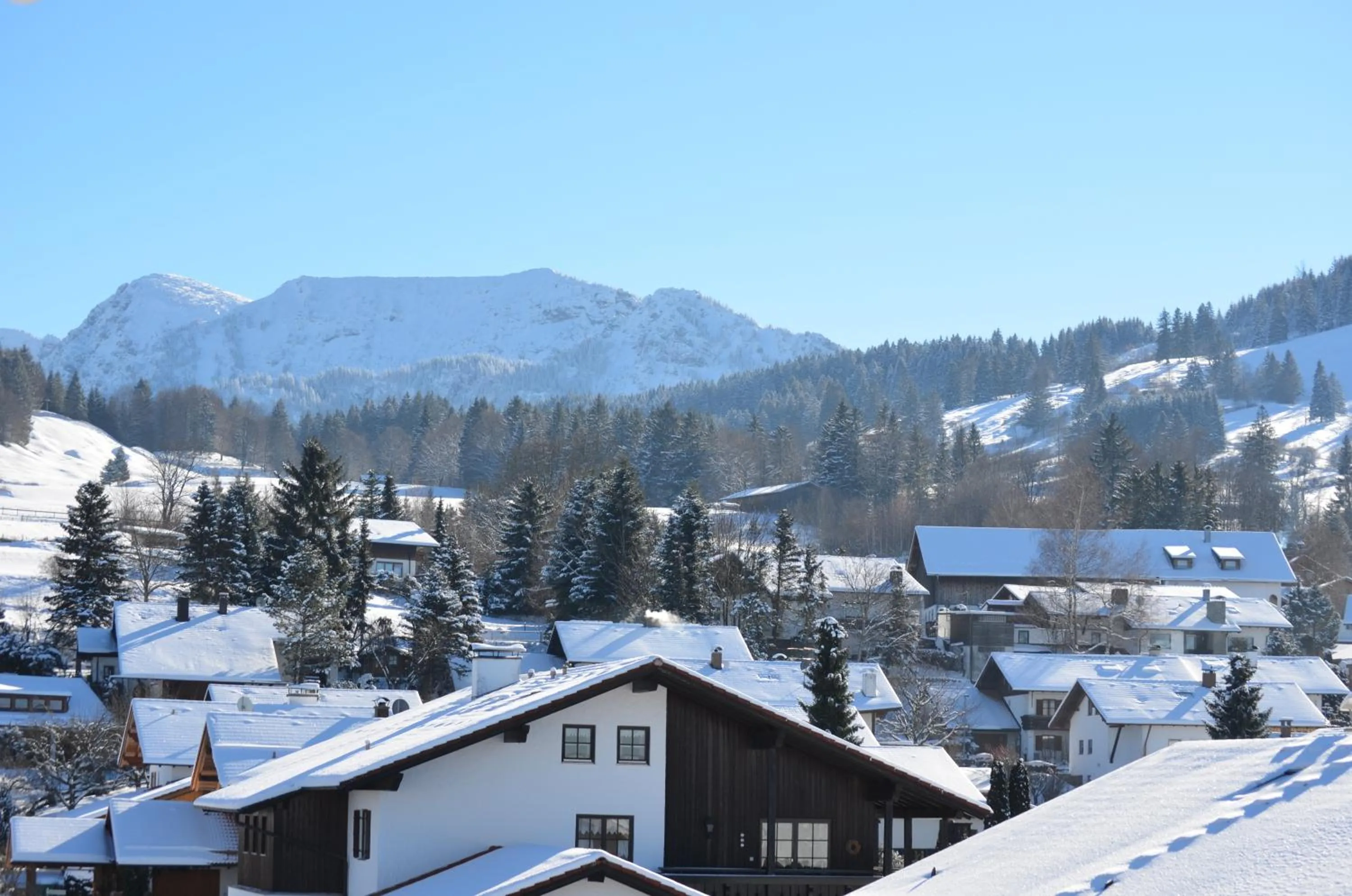 Day in Alpchalet Schwanstein