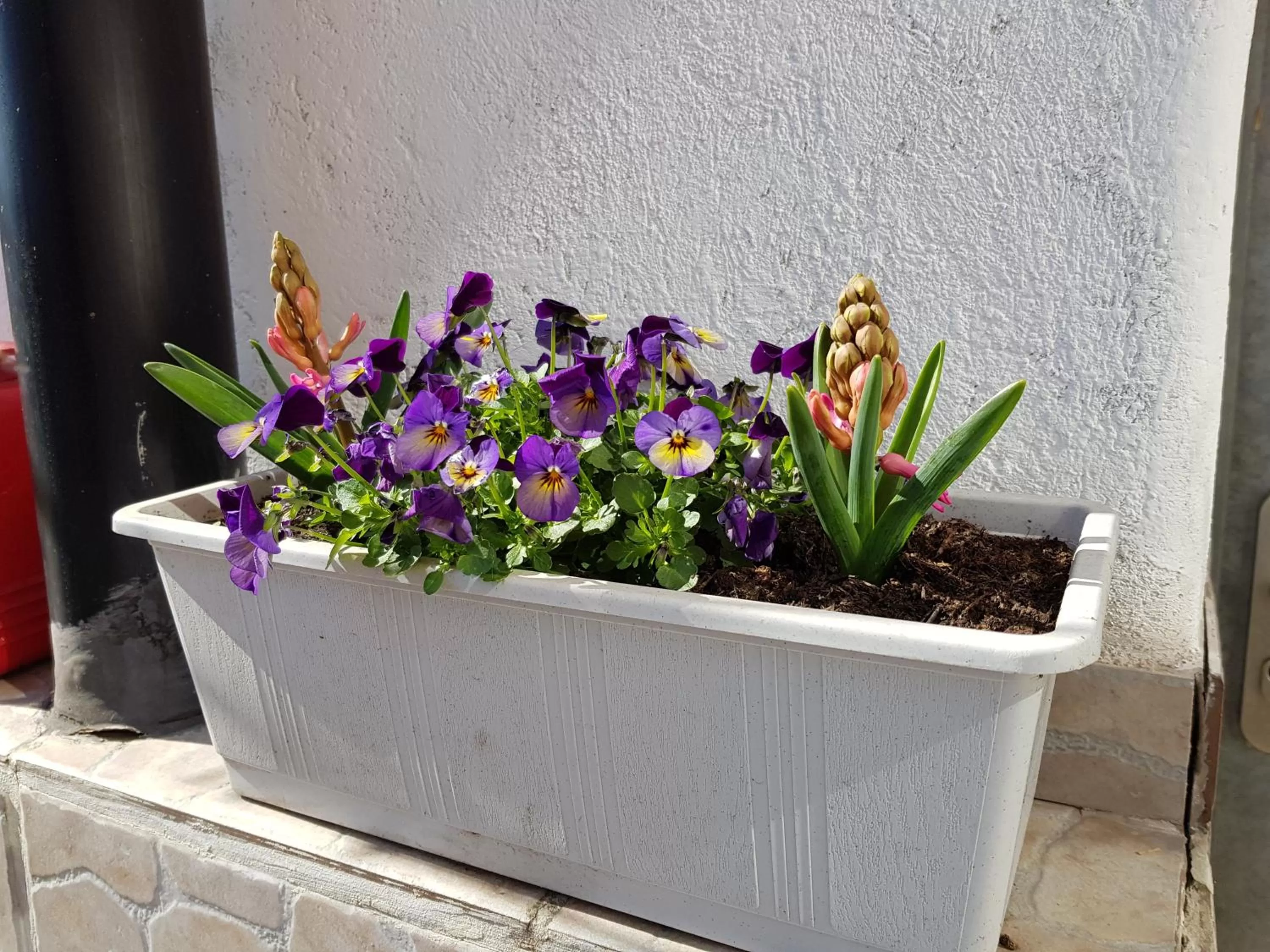 Garni-Hotel Mühletal