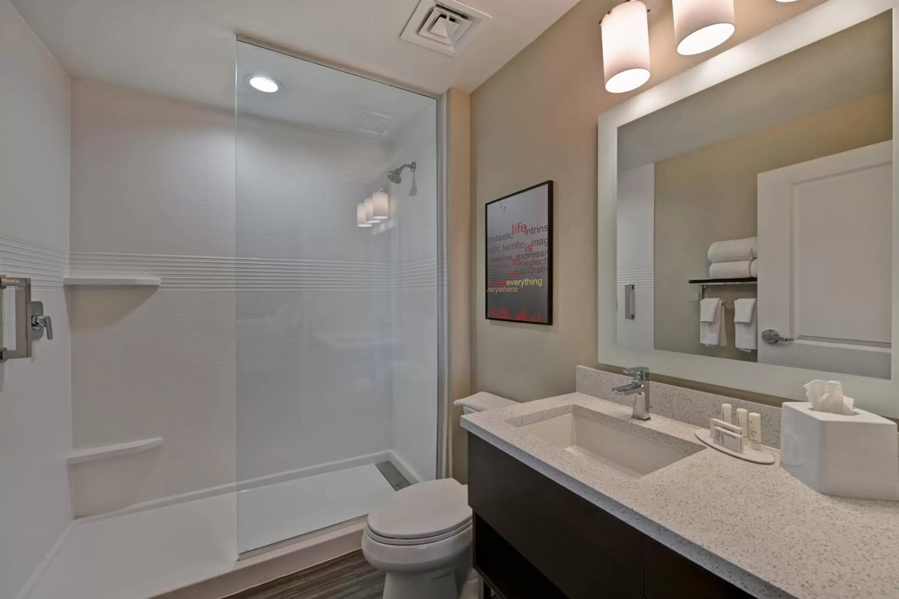 Bathroom in TownePlace Suites by Marriott El Paso East/I-10
