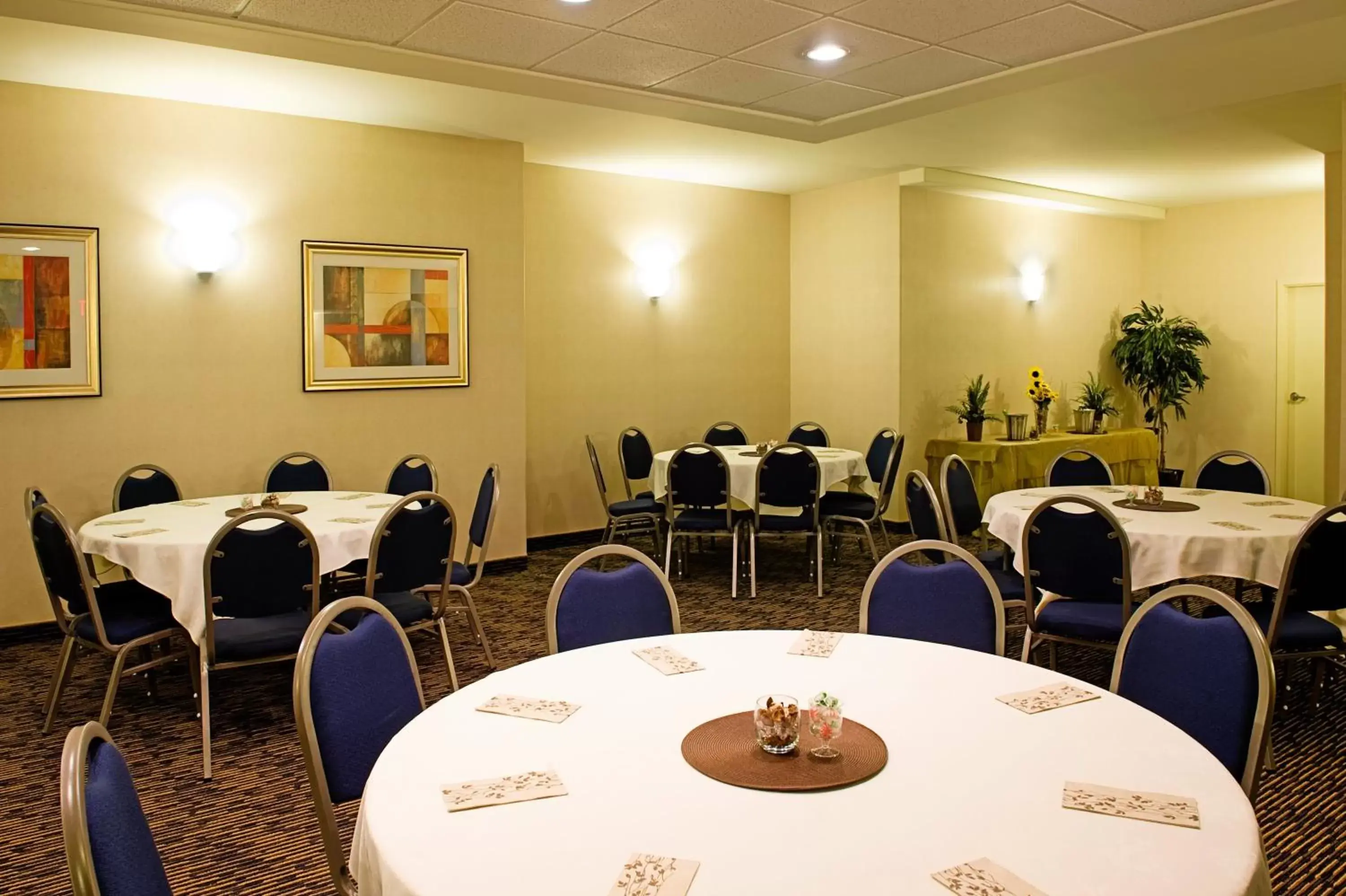 Meeting/conference room in Holiday Inn Express & Suites-Regina-South, an IHG Hotel