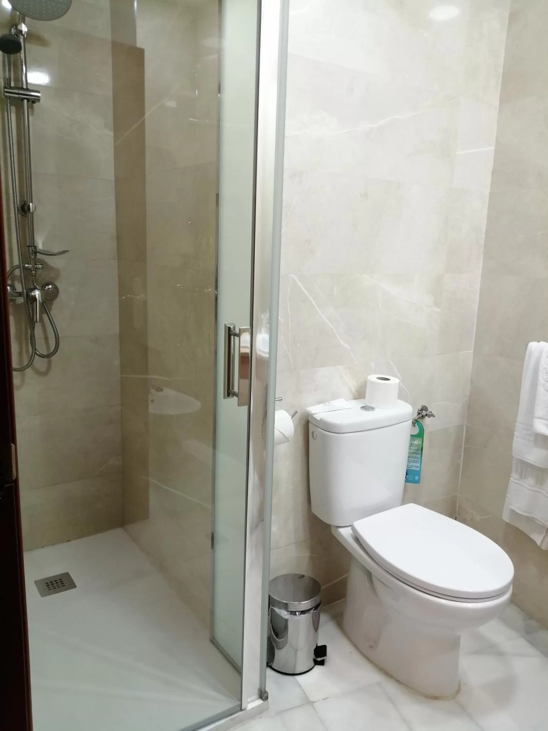 Toilet in Hotel Europa Boutique Sevilla