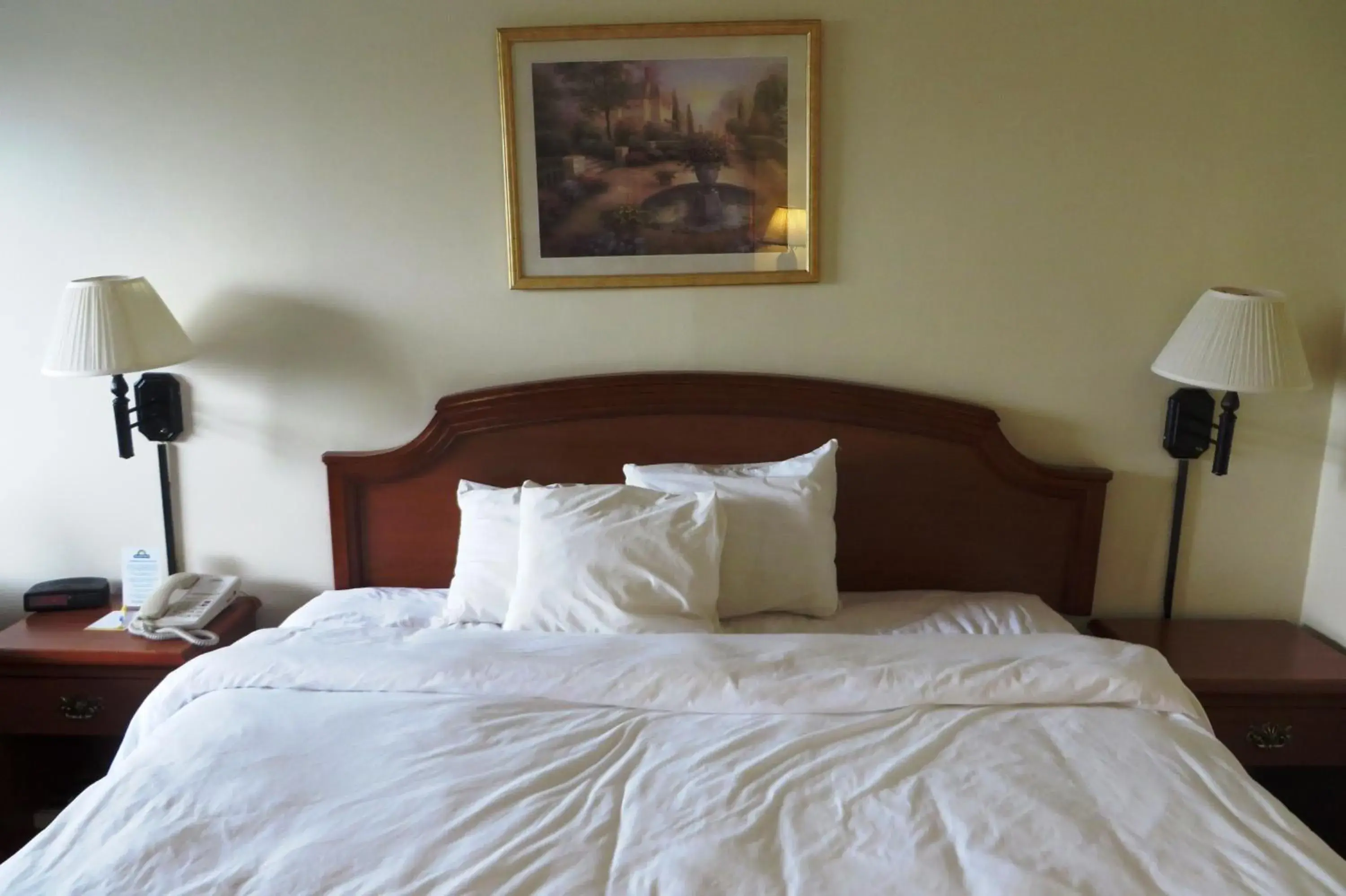 Bed in Days Inn by Wyndham Plainfield