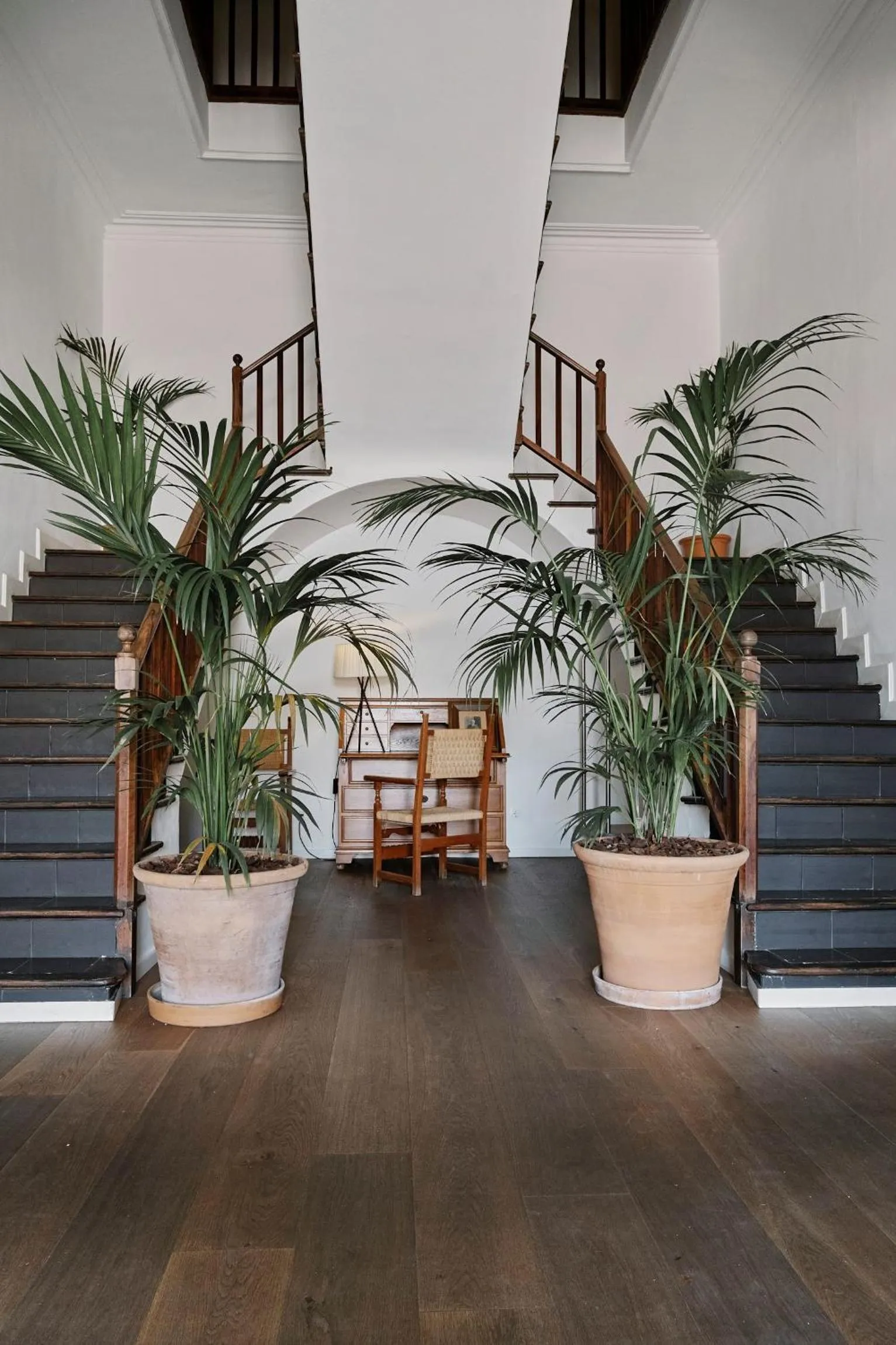 Lobby or reception in Prinsotel Mal Pas - Adults Only