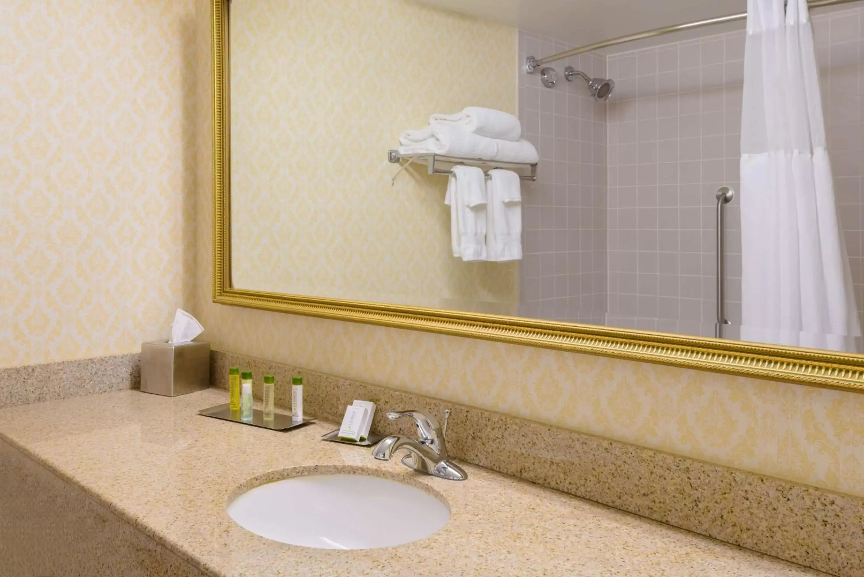 Bathroom in DoubleTree by Hilton Hotel Richmond - Midlothian