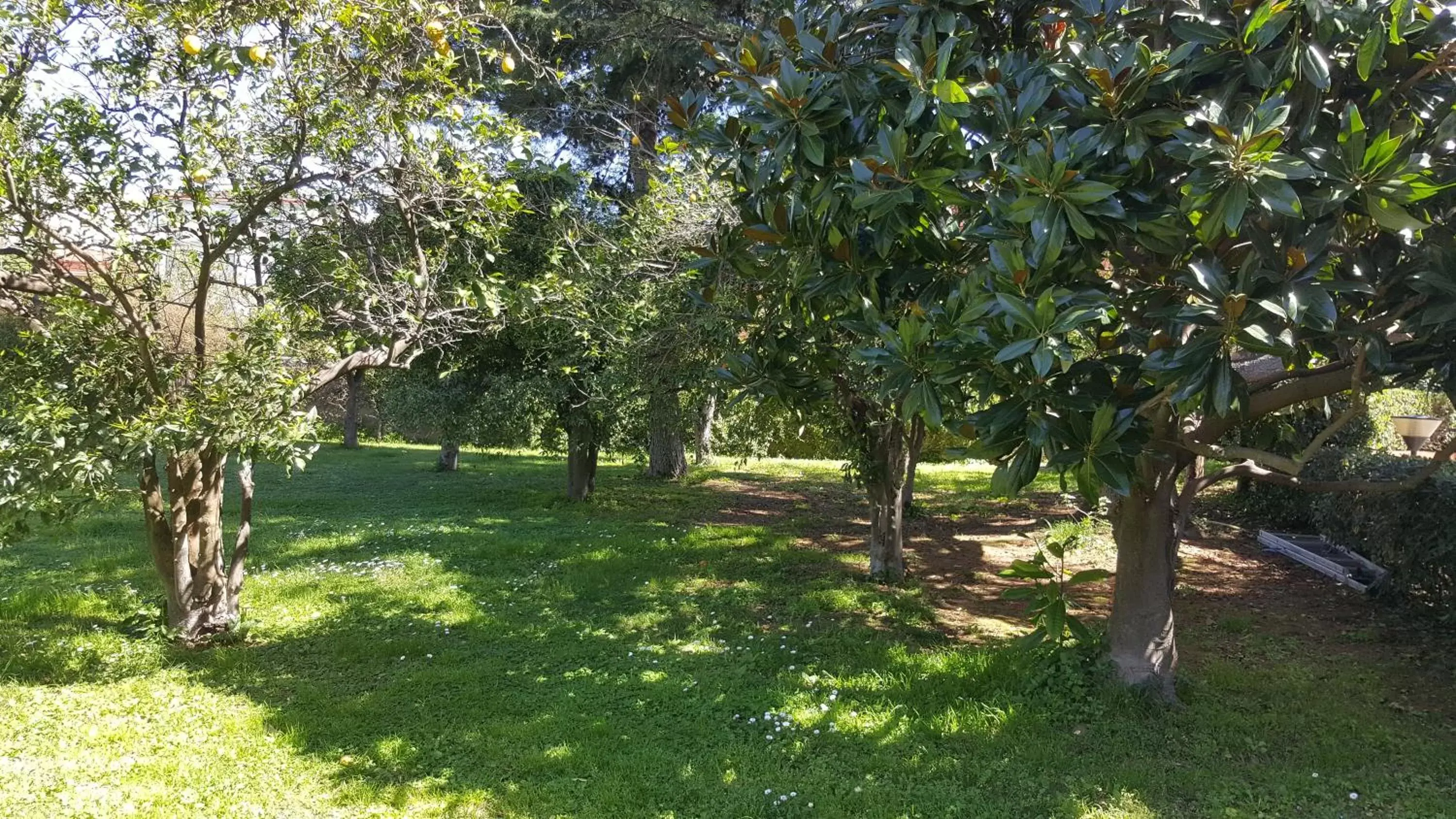 Property building, Garden in Lemon Rooms Sorrento