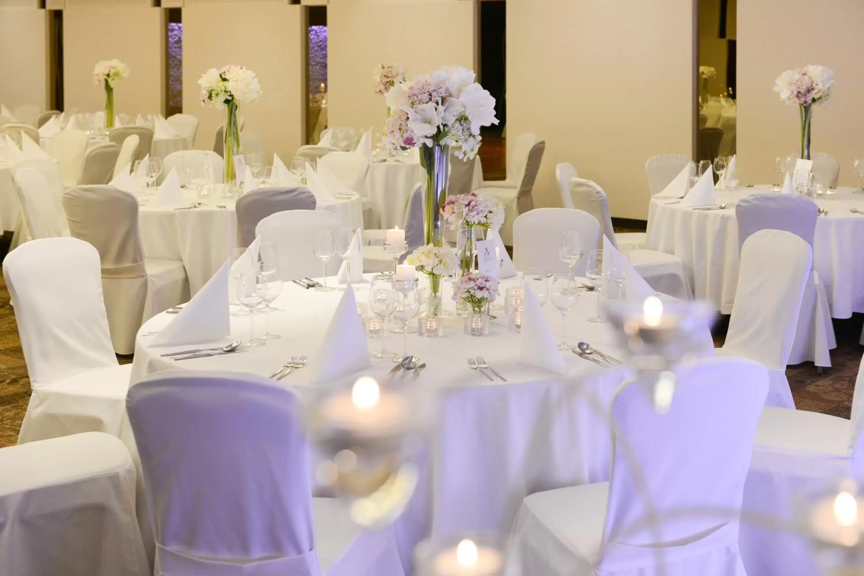 Banquet/Function facilities, Banquet Facilities in Hotel Aristos