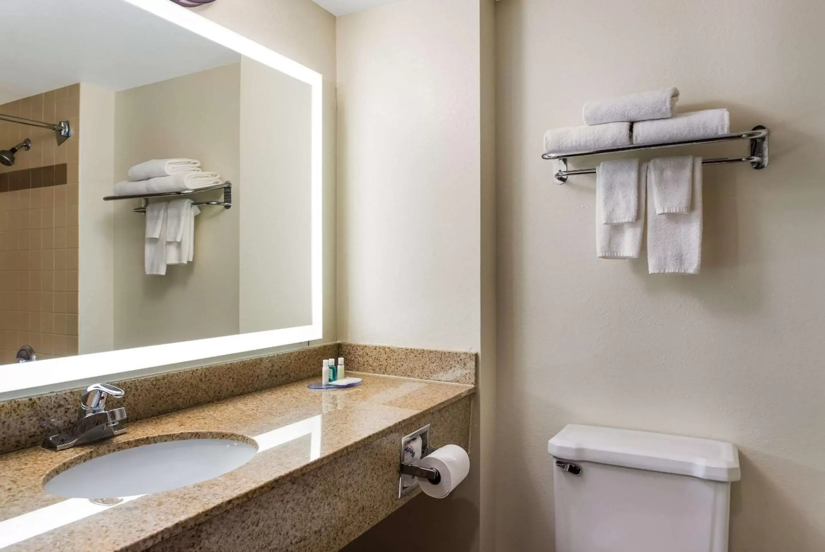 Bedroom, Bathroom in Quality Suites Milwaukee Airport
