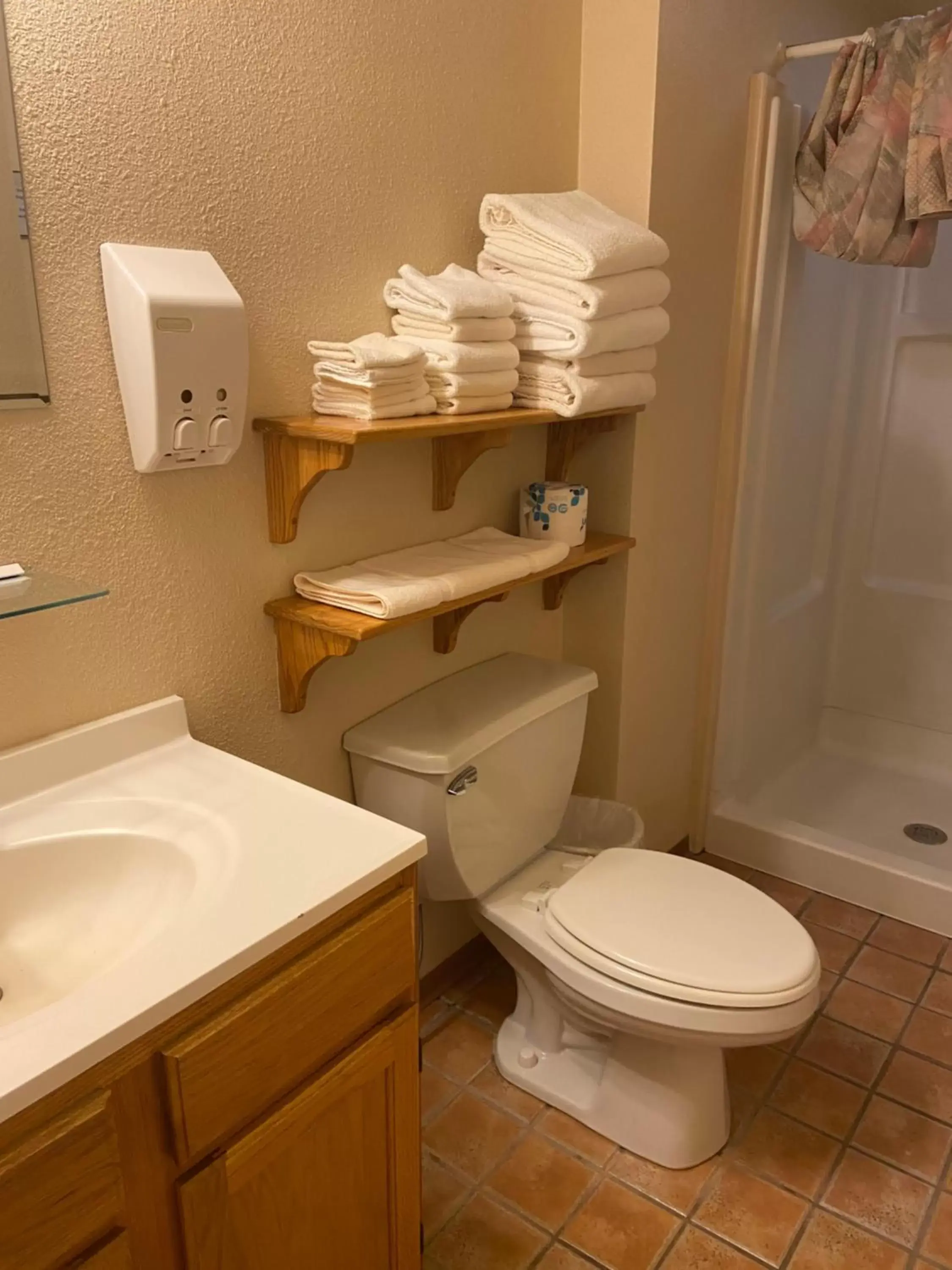 Bathroom in Woodland Motel