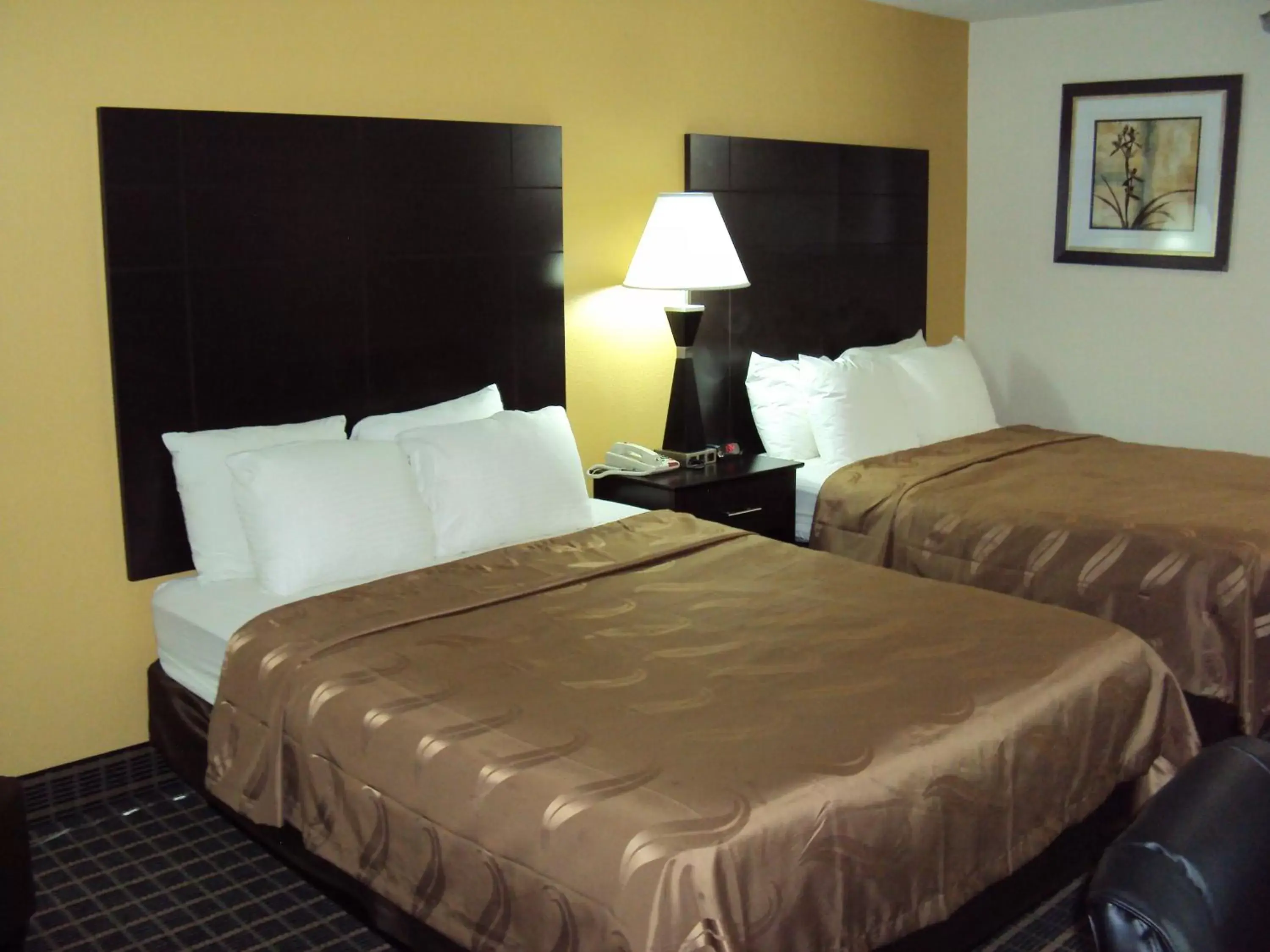 Bed in Quality Inn Carbondale University area