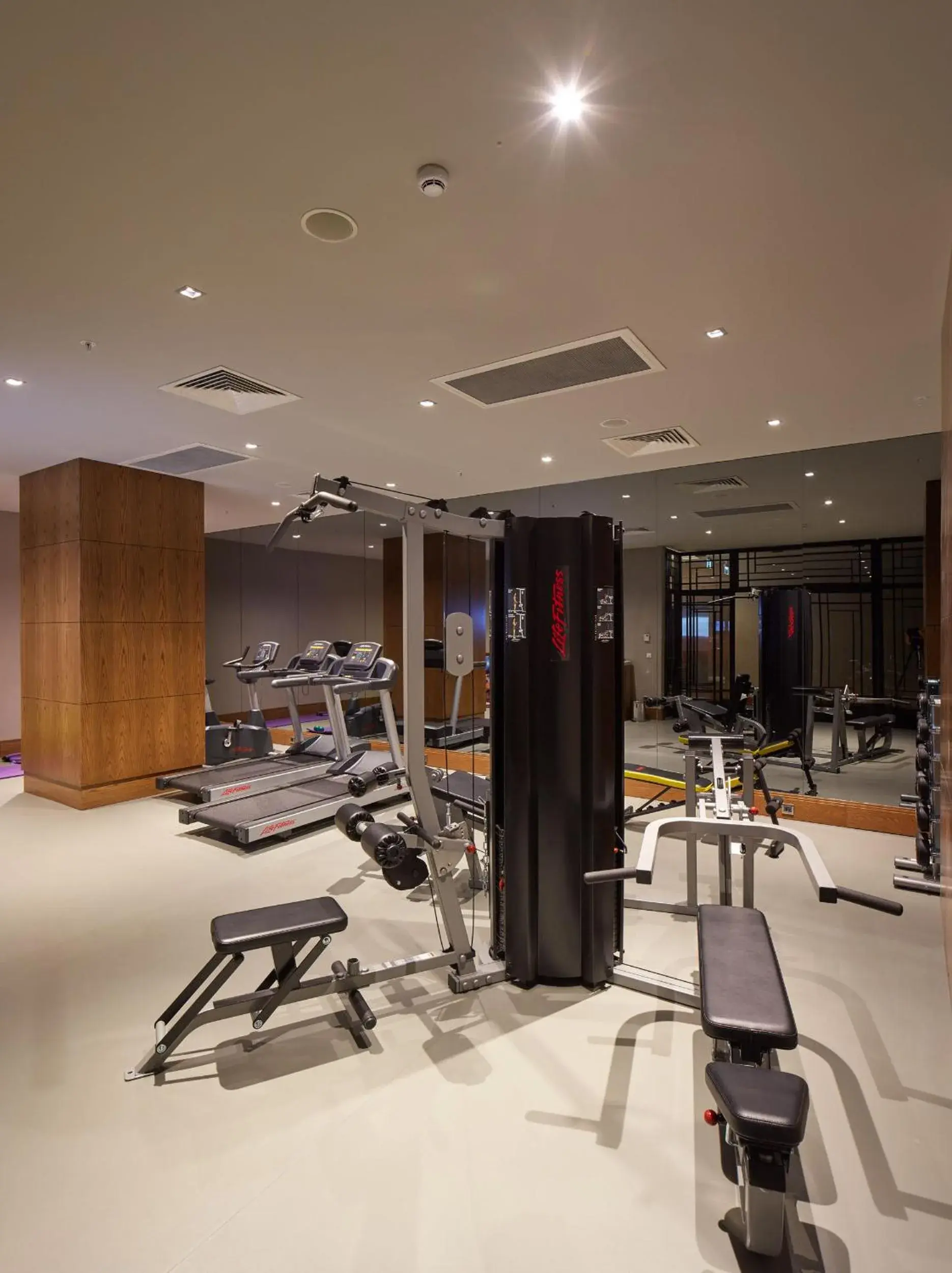 Fitness centre/facilities, Fitness Center/Facilities in Limak Ambassadore Hotel Ankara