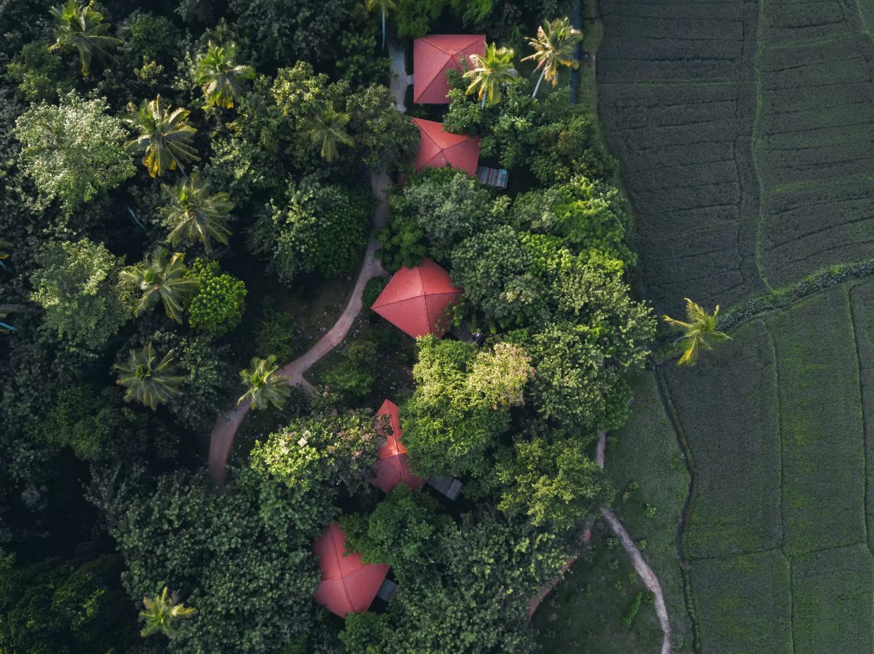 Bird's eye view, Bird's-eye View in Jetwing Kaduruketha