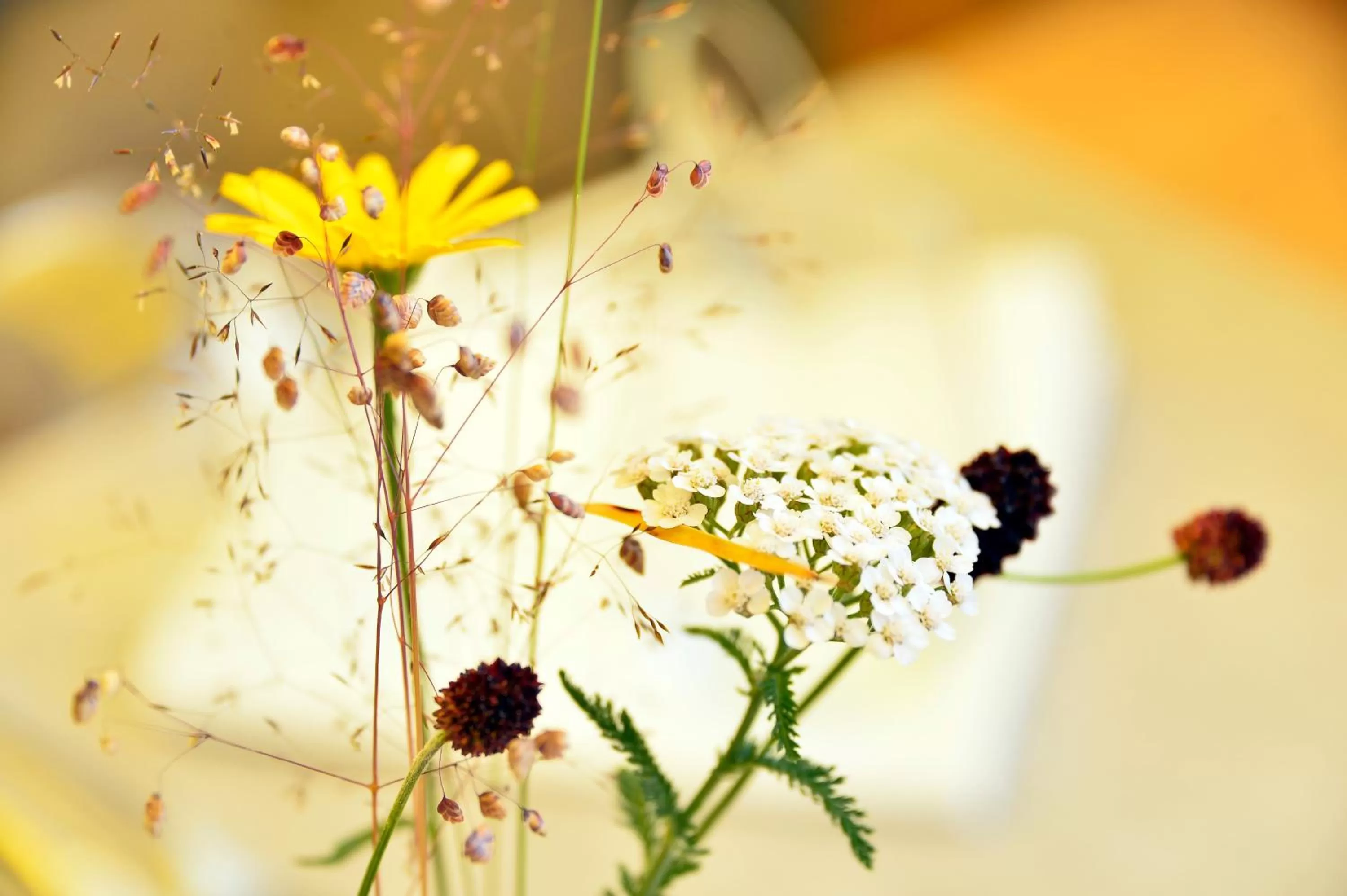 Photo of the whole room in Hotel Diana