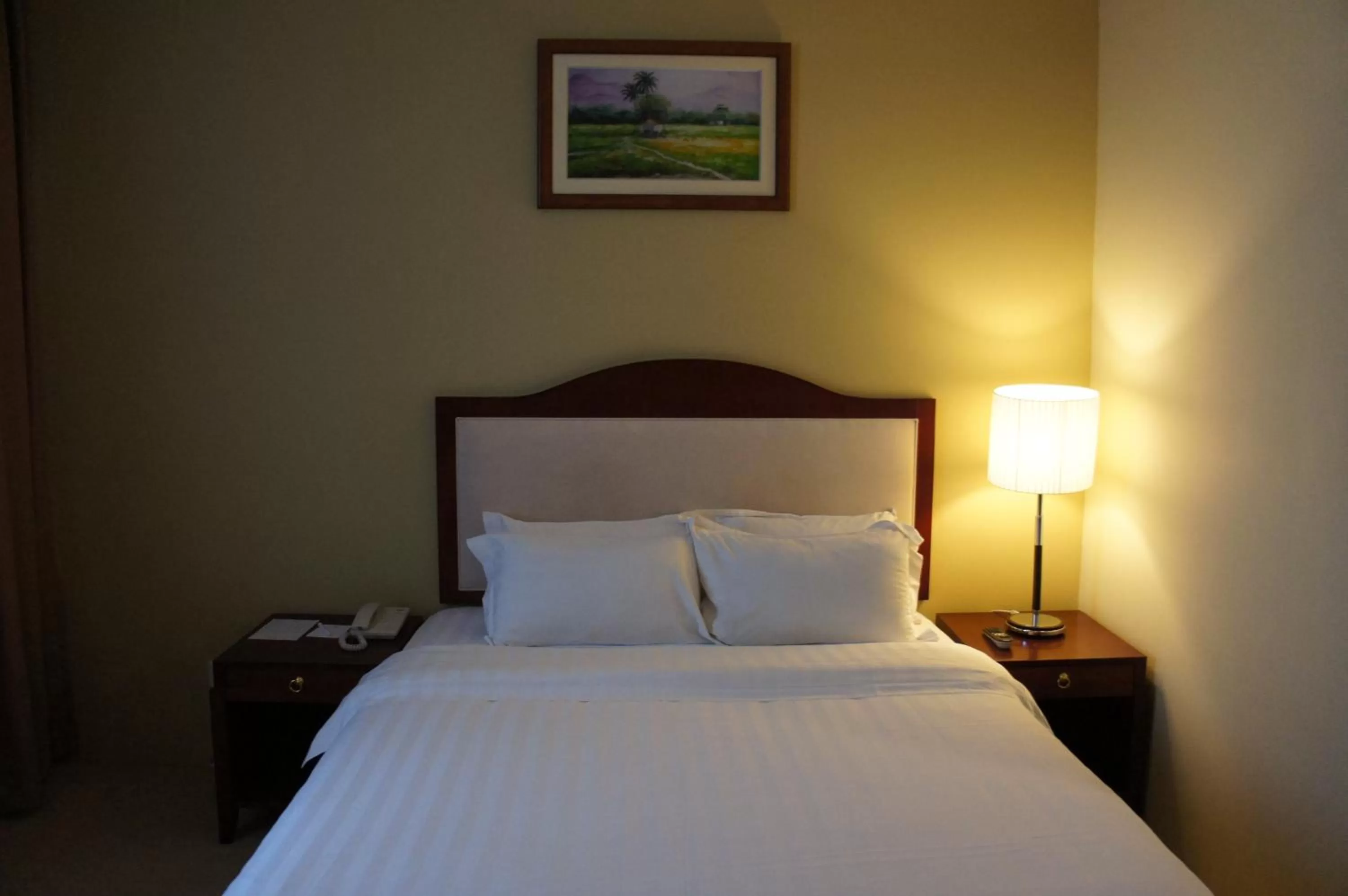 Superior Double or Twin Room in Gaya Centre Hotel