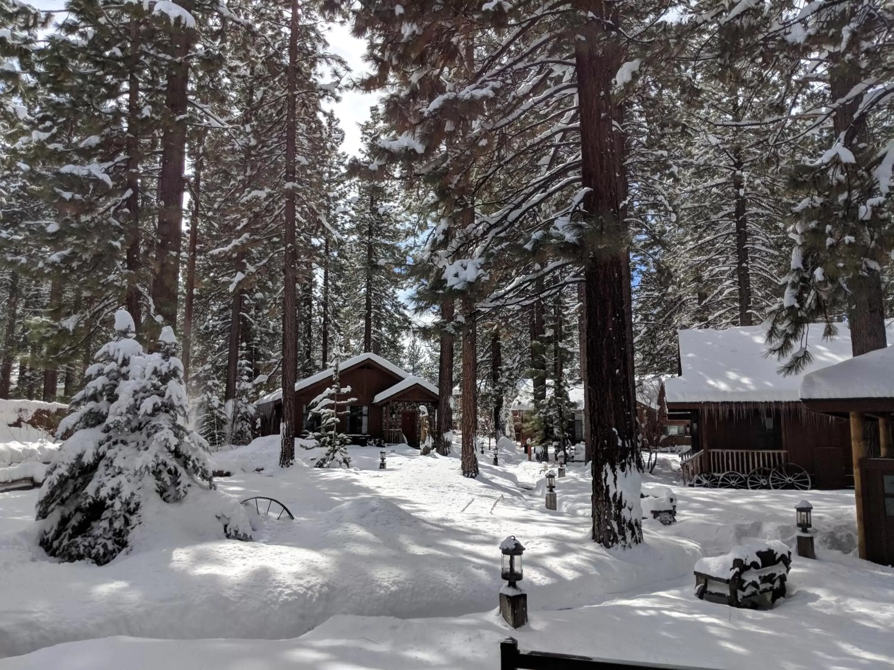 Winter in Black Bear Lodge