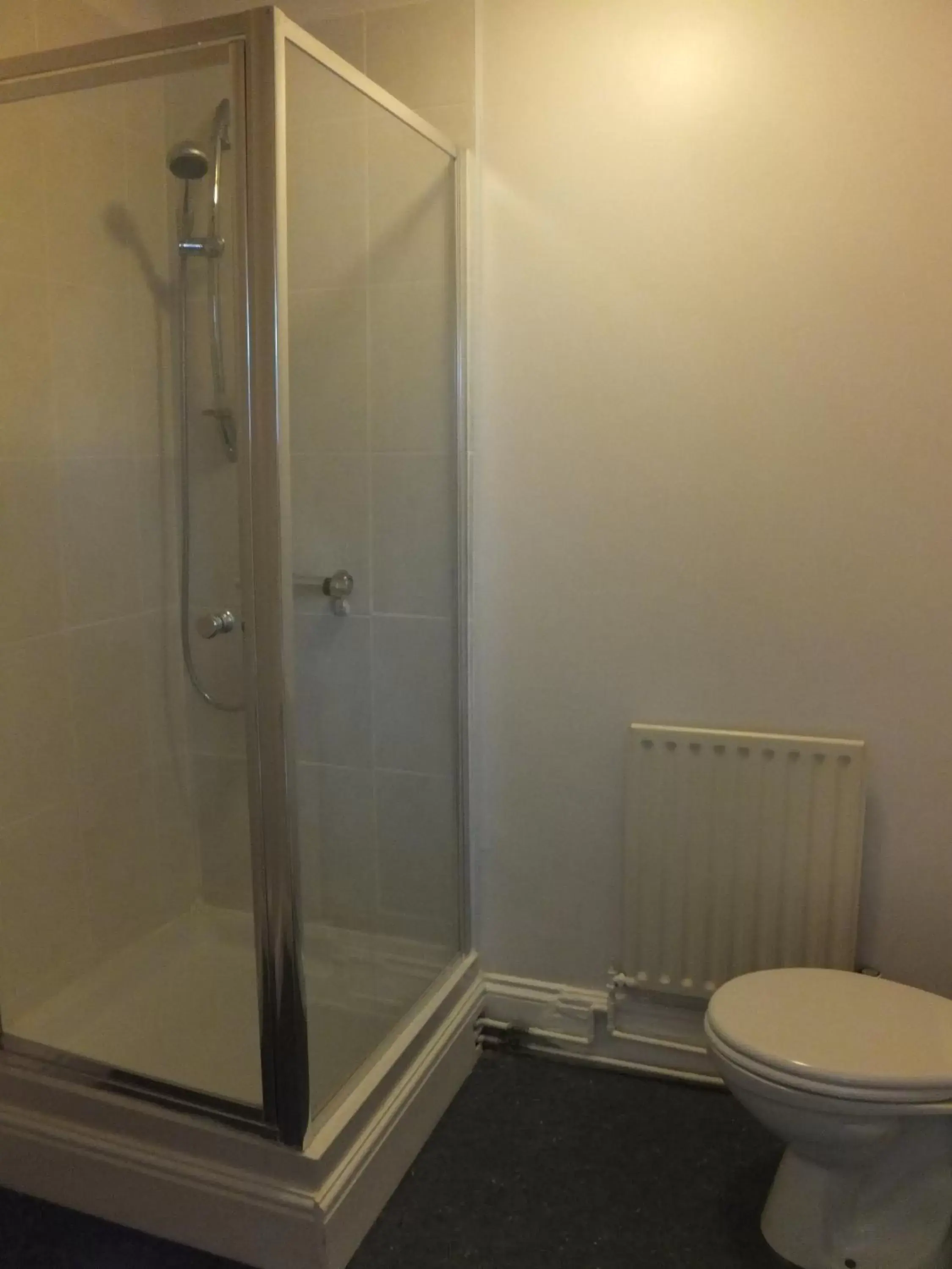 Shower, Bathroom in The Red Lion, Stretham