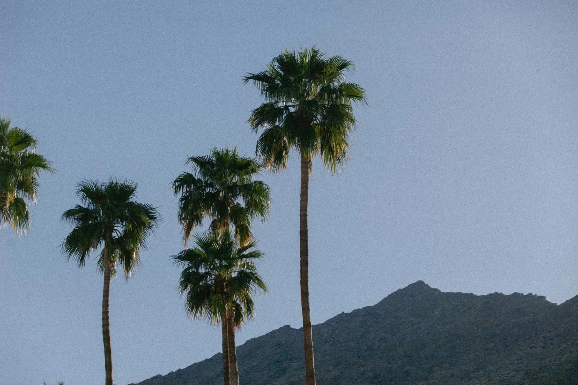 Day in Yara Hotel - Adults Only