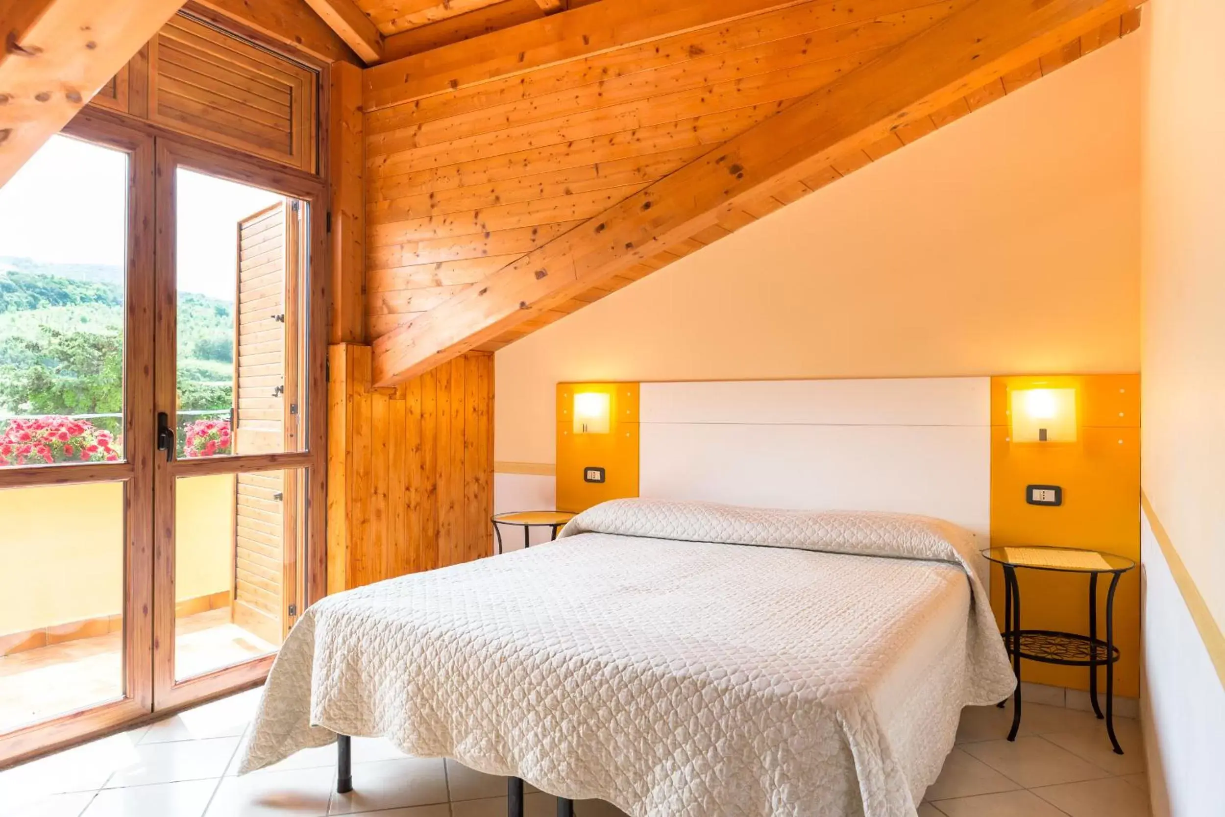 Double Room - single occupancy in B&B Il Girasole Double Room - single occupancy in B&B Il Girasole