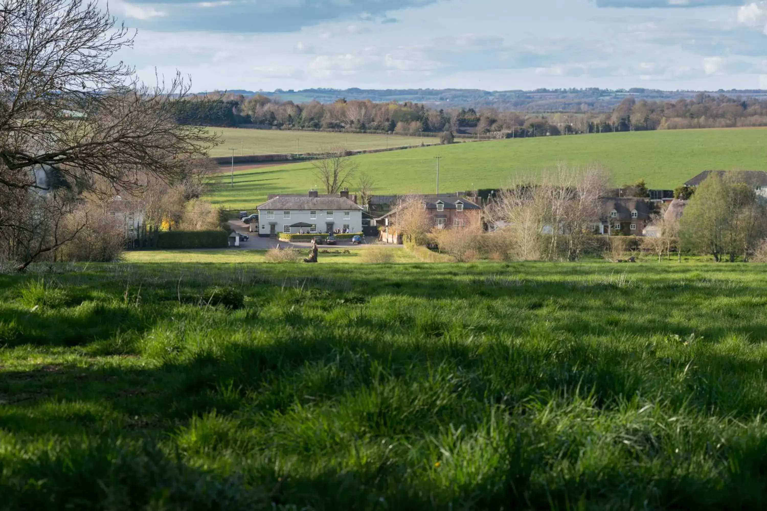 Natural landscape in The Hawk Inn