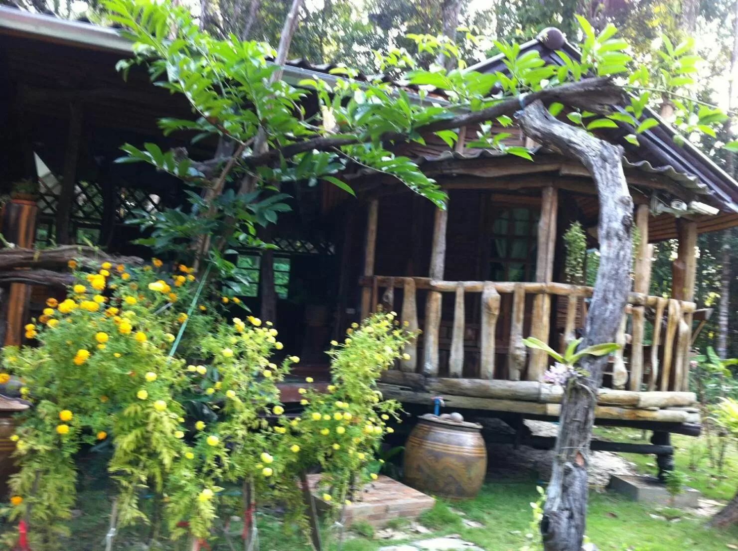 Koh Kood Little Hut