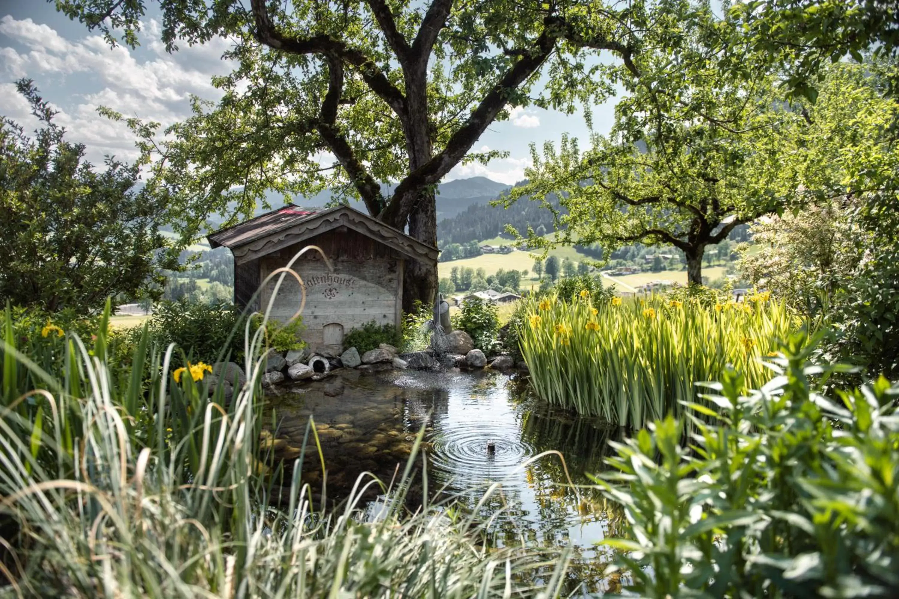 Garden, Property Building in Hotel AlpenSchlössl