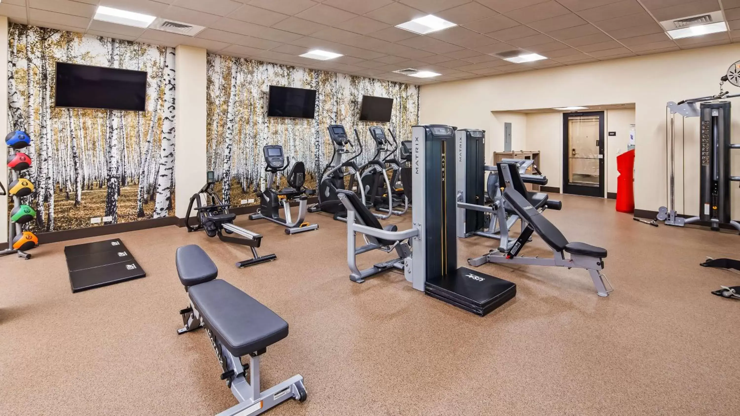 Fitness centre/facilities, Fitness Center/Facilities in Best Western Plus GranTree Inn