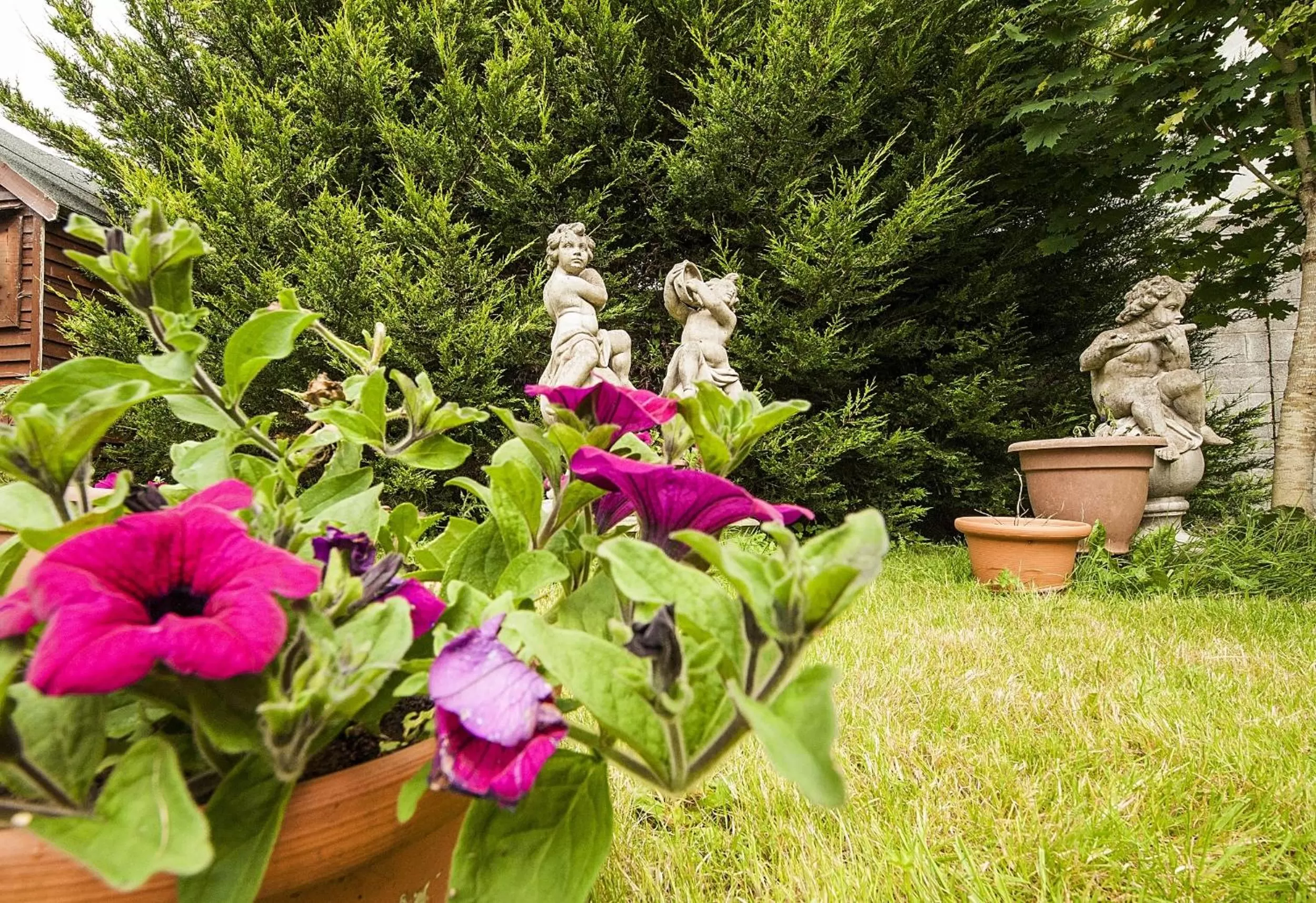 Garden view in Sea Breeze Lodge B&B Galway