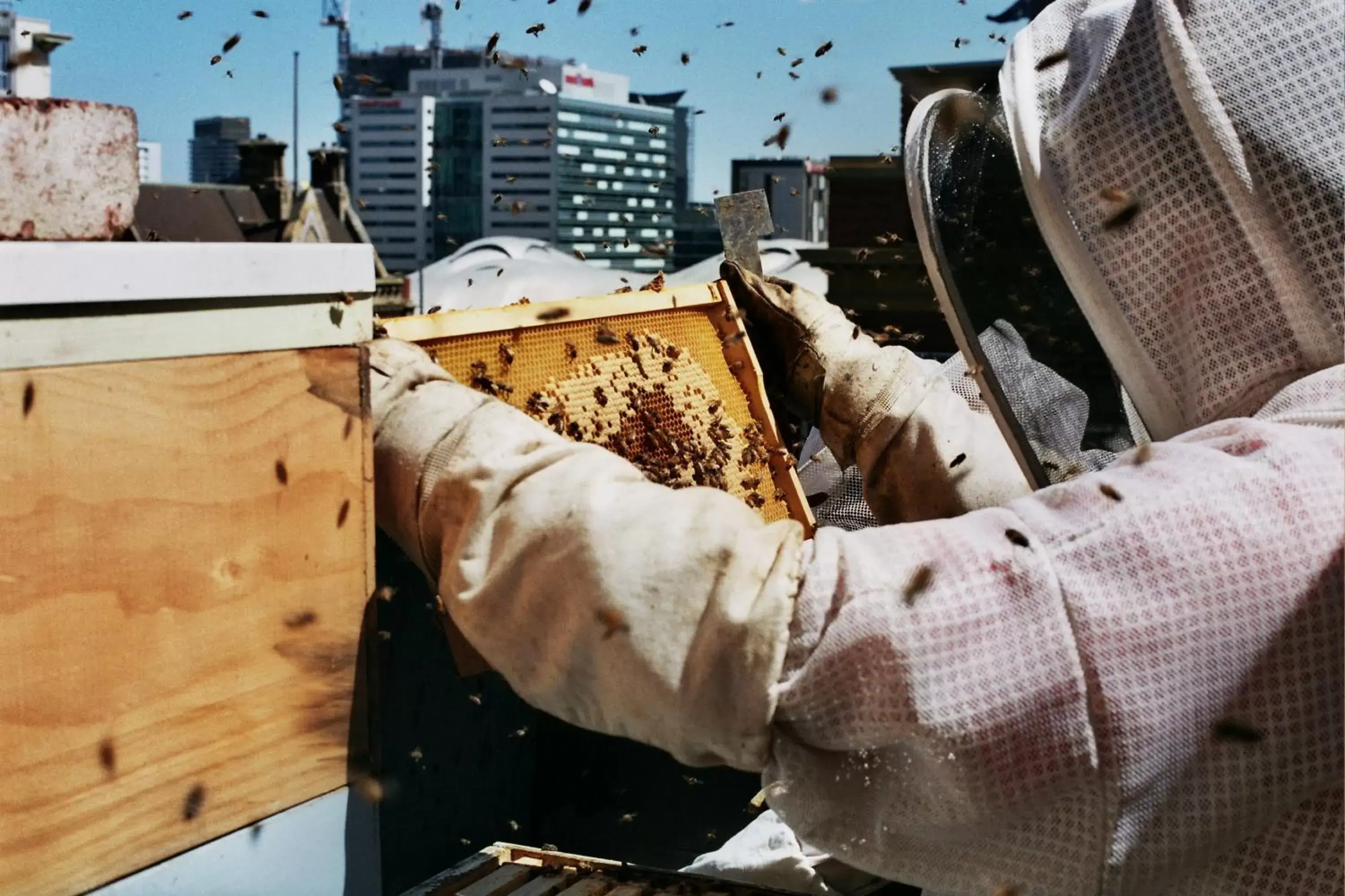 Facade/entrance in Alto Hotel On Bourke Facade/entrance in Alto Hotel On Bourke