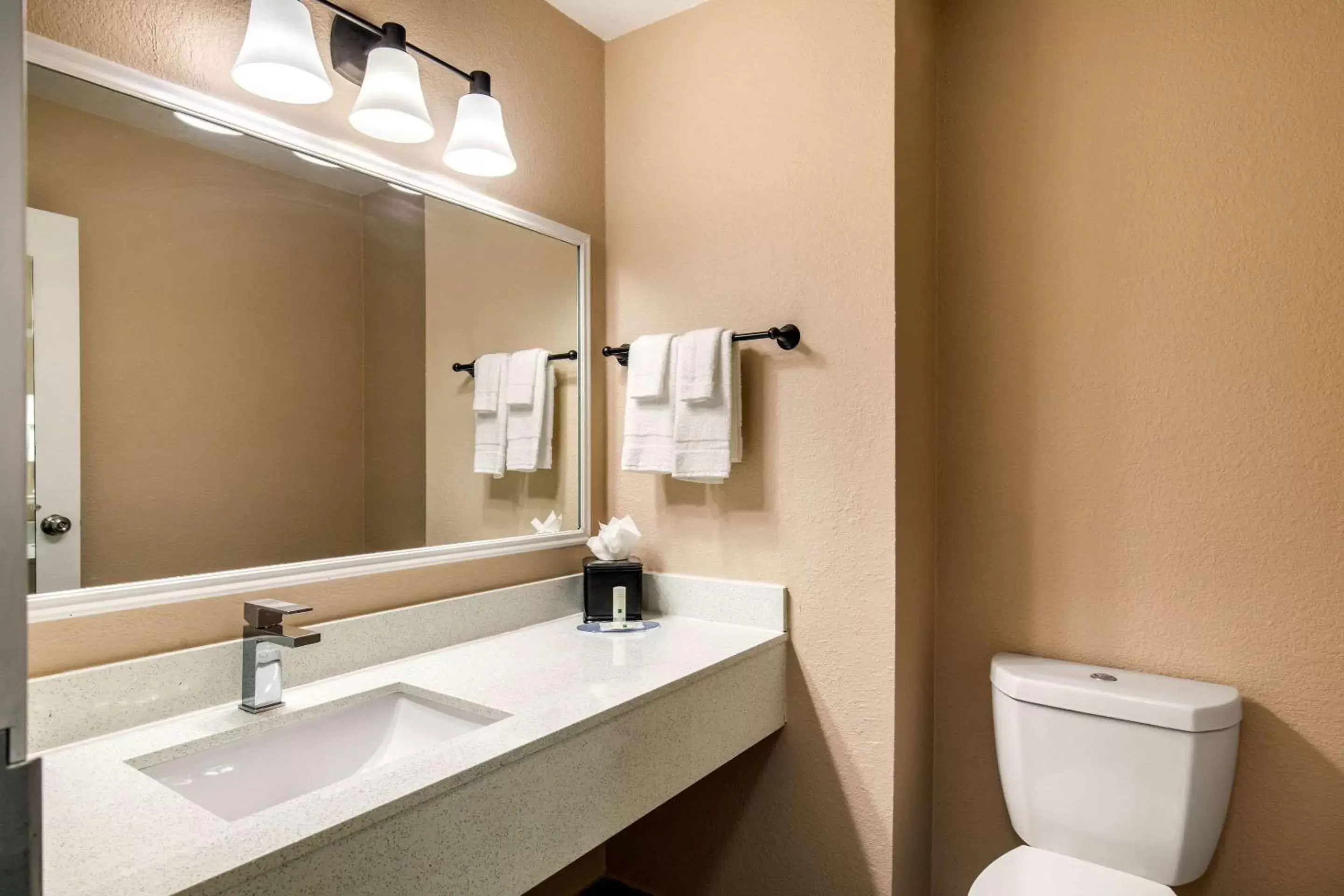 Bathroom in Quality Inn & Suites Plano