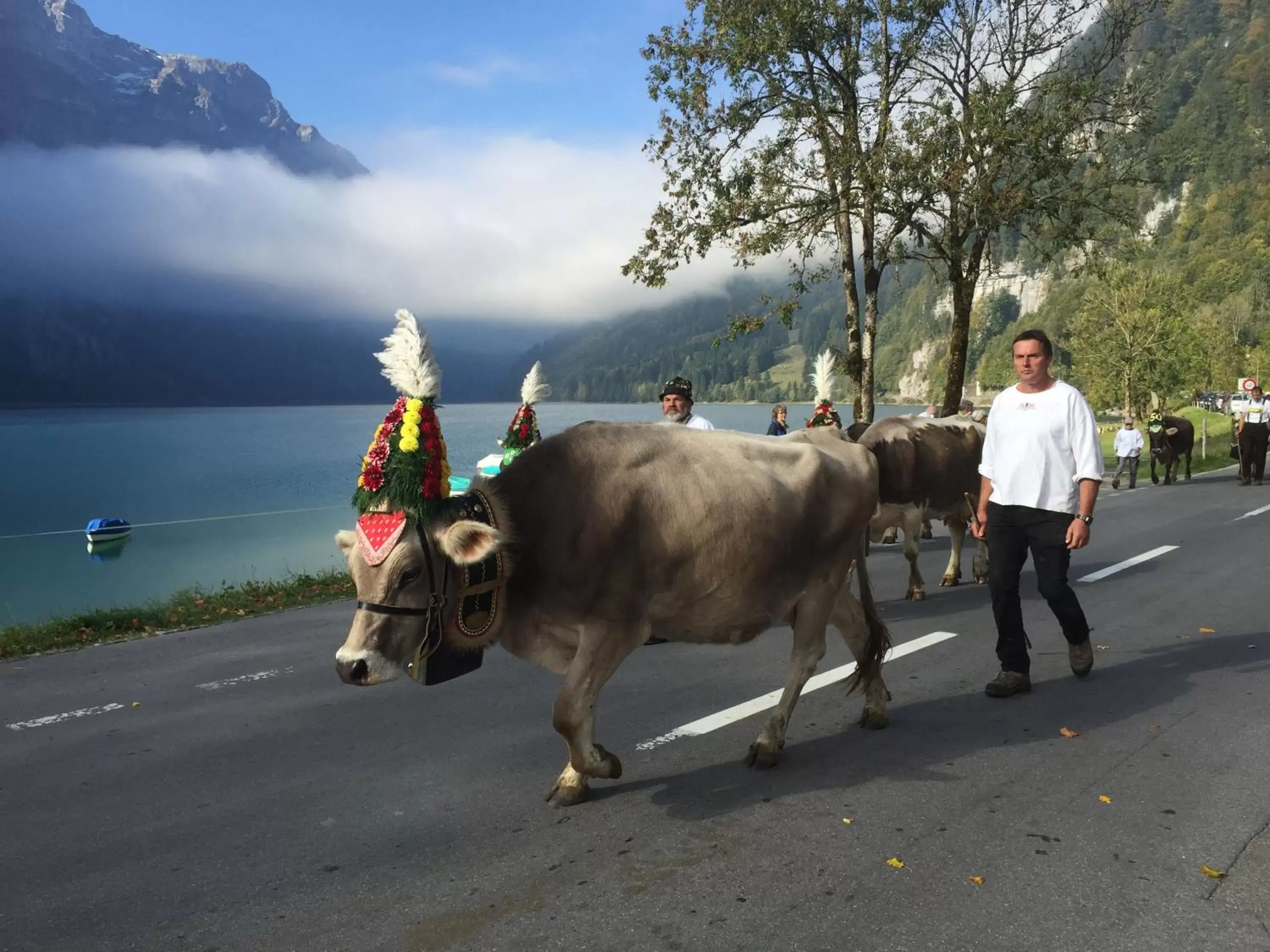 Natural landscape, Other Animals in Hotel Rhodannenberg AG