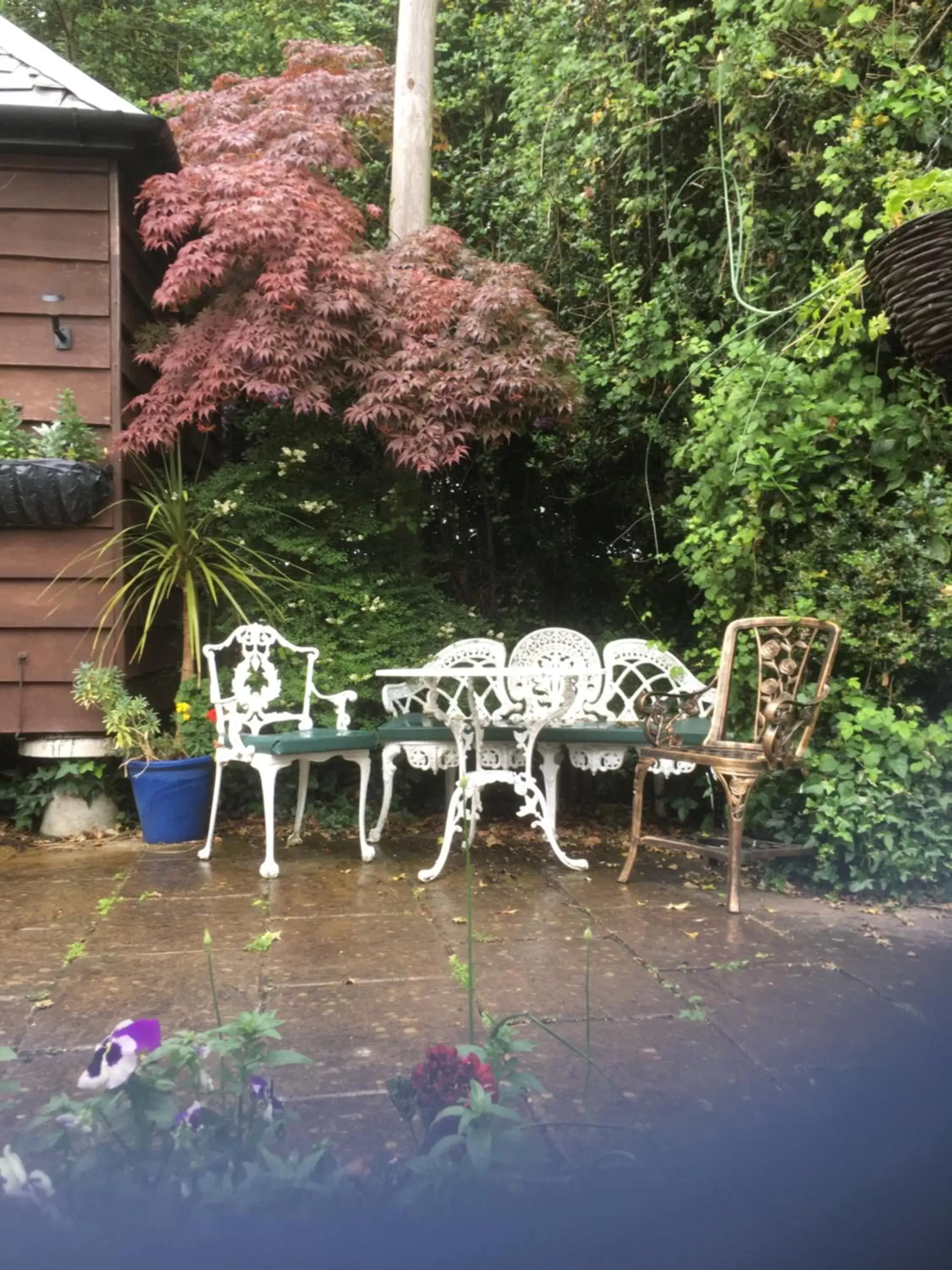 Single Room with Shower in Otters Green Single Room with Shower in Otters Green