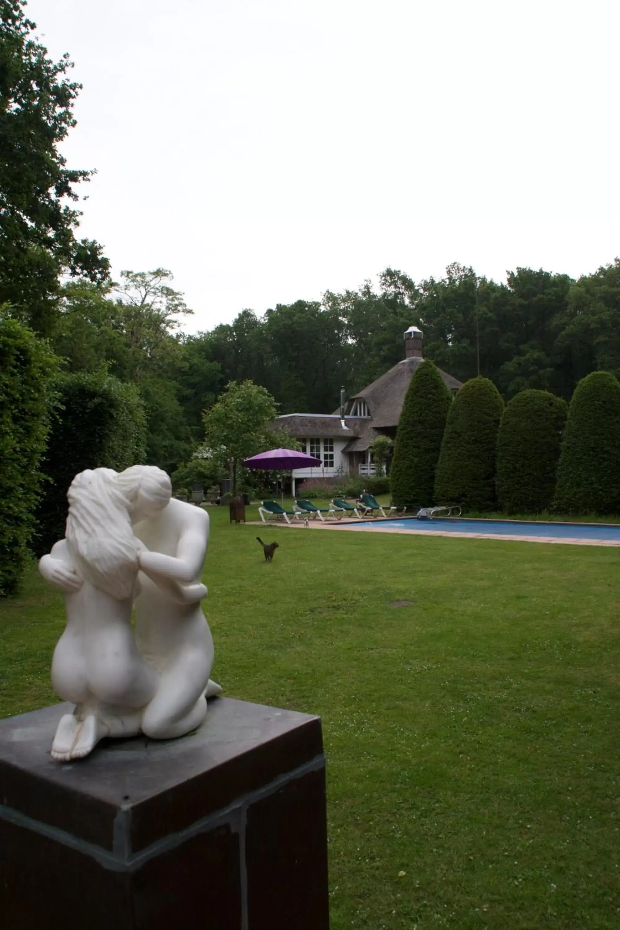 Garden view, Garden in Villa de Nachtegaal