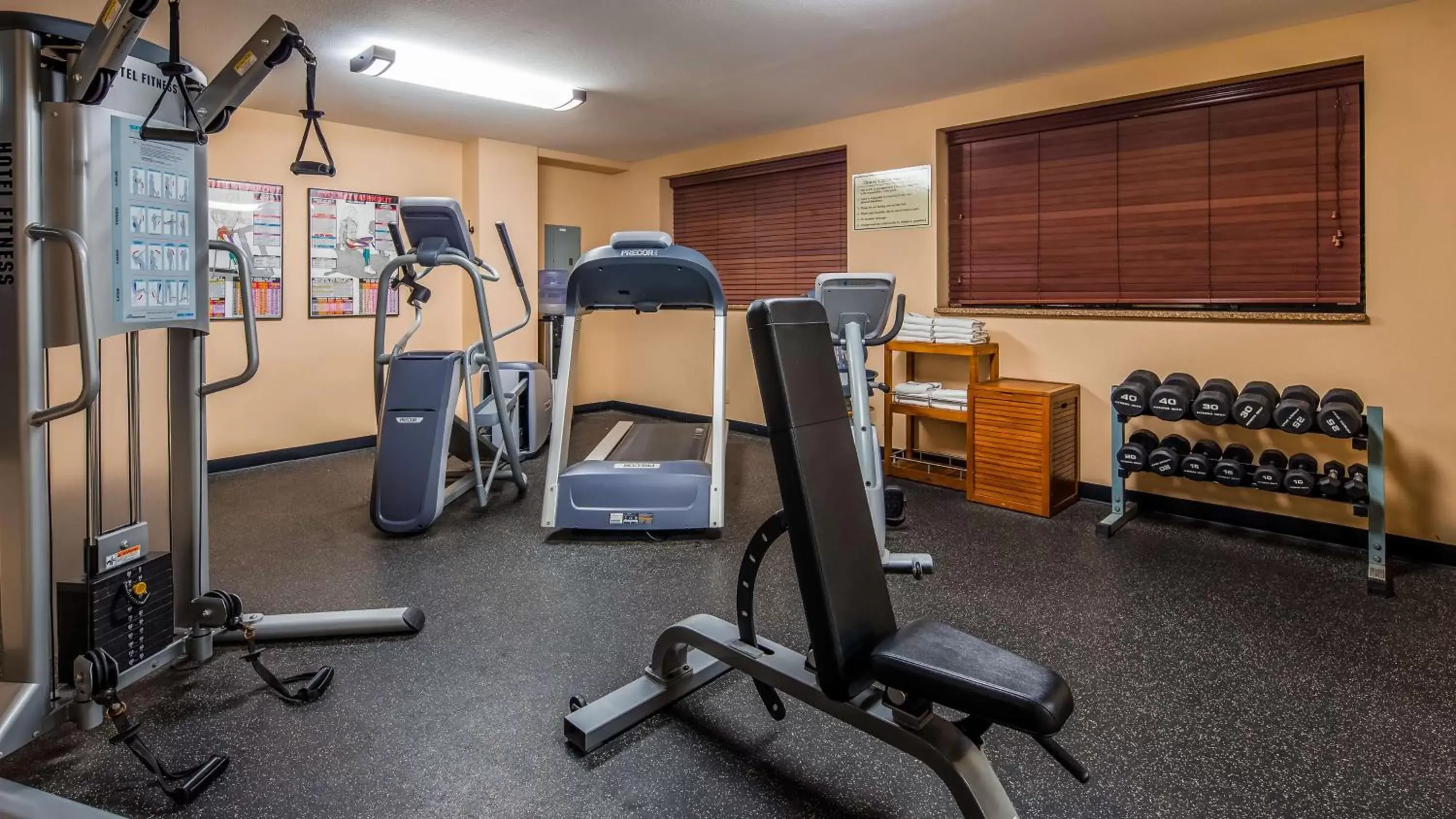 Fitness centre/facilities, Fitness Center/Facilities in Best Western Bridgeview Hotel