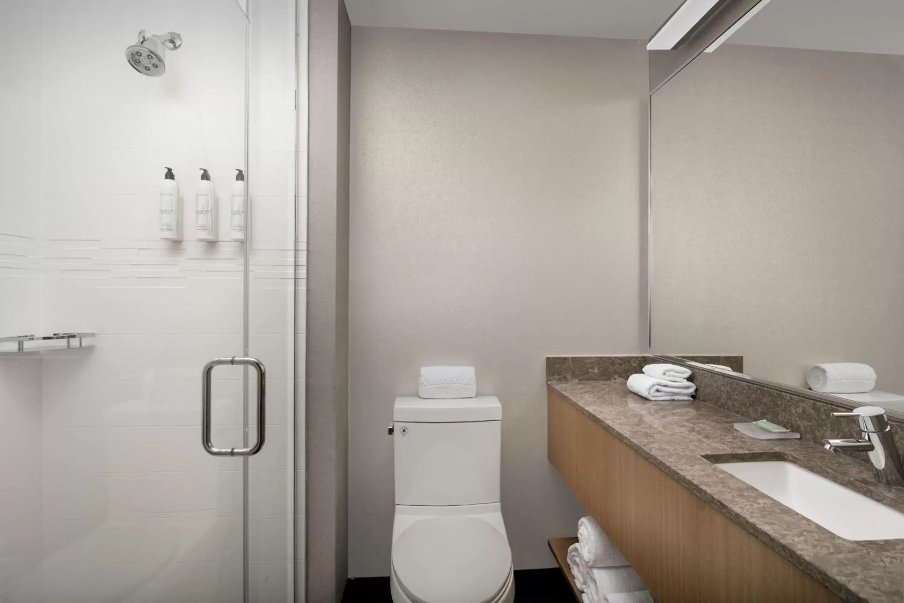 Bathroom in SpringHill Suites by Marriott New York Queens