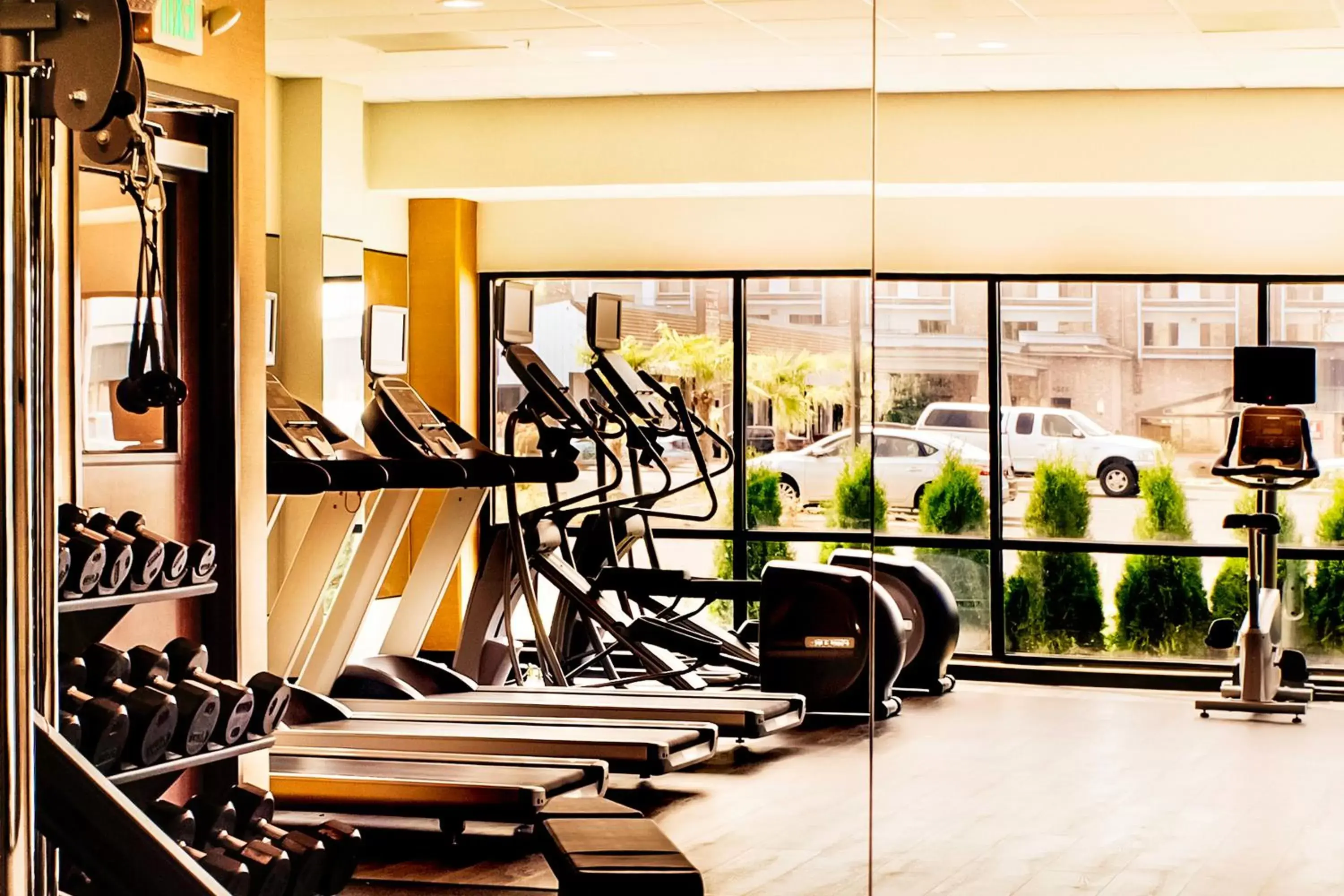 Spa and wellness centre/facilities, Fitness Center/Facilities in Holiday Inn - Salem, an IHG Hotel