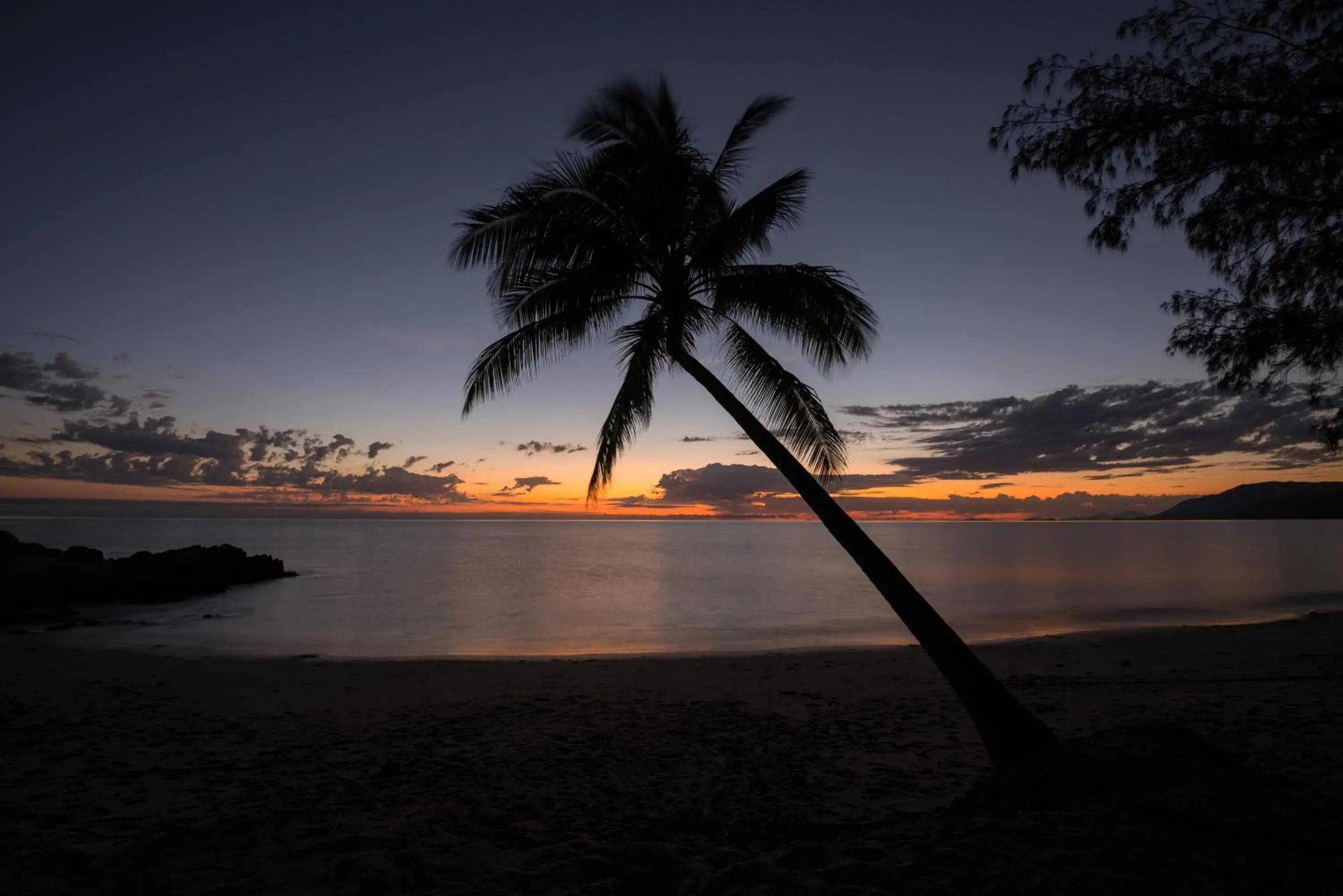 Beach in Thala Beach Nature Reserve