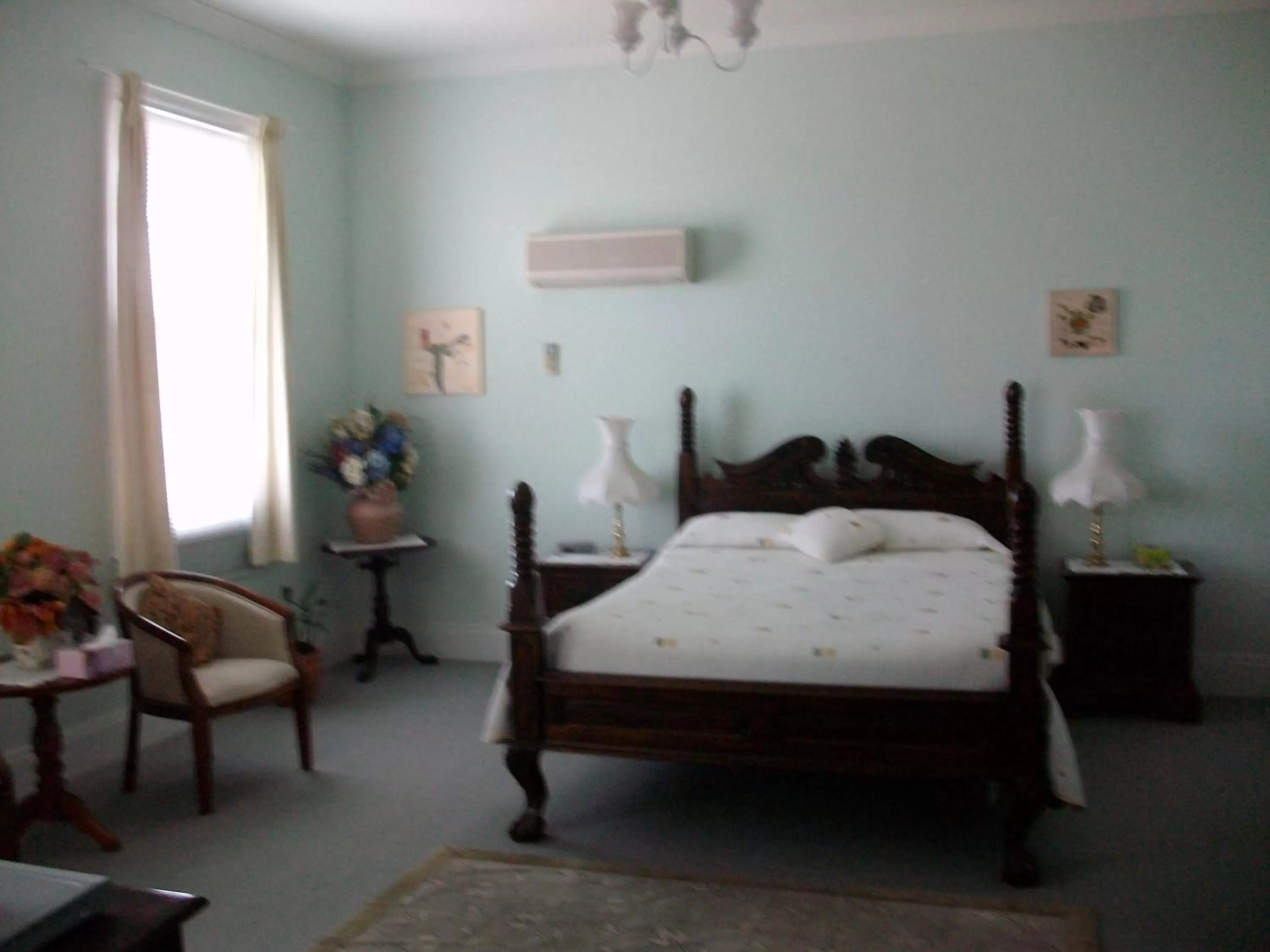 Day, Bed in Stella's Dromana Hotel