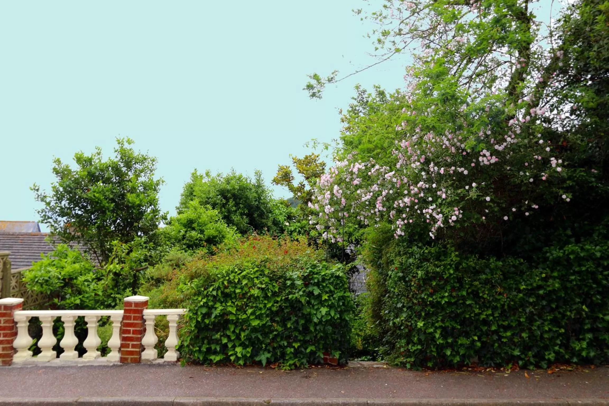 Garden in Lammas Park House