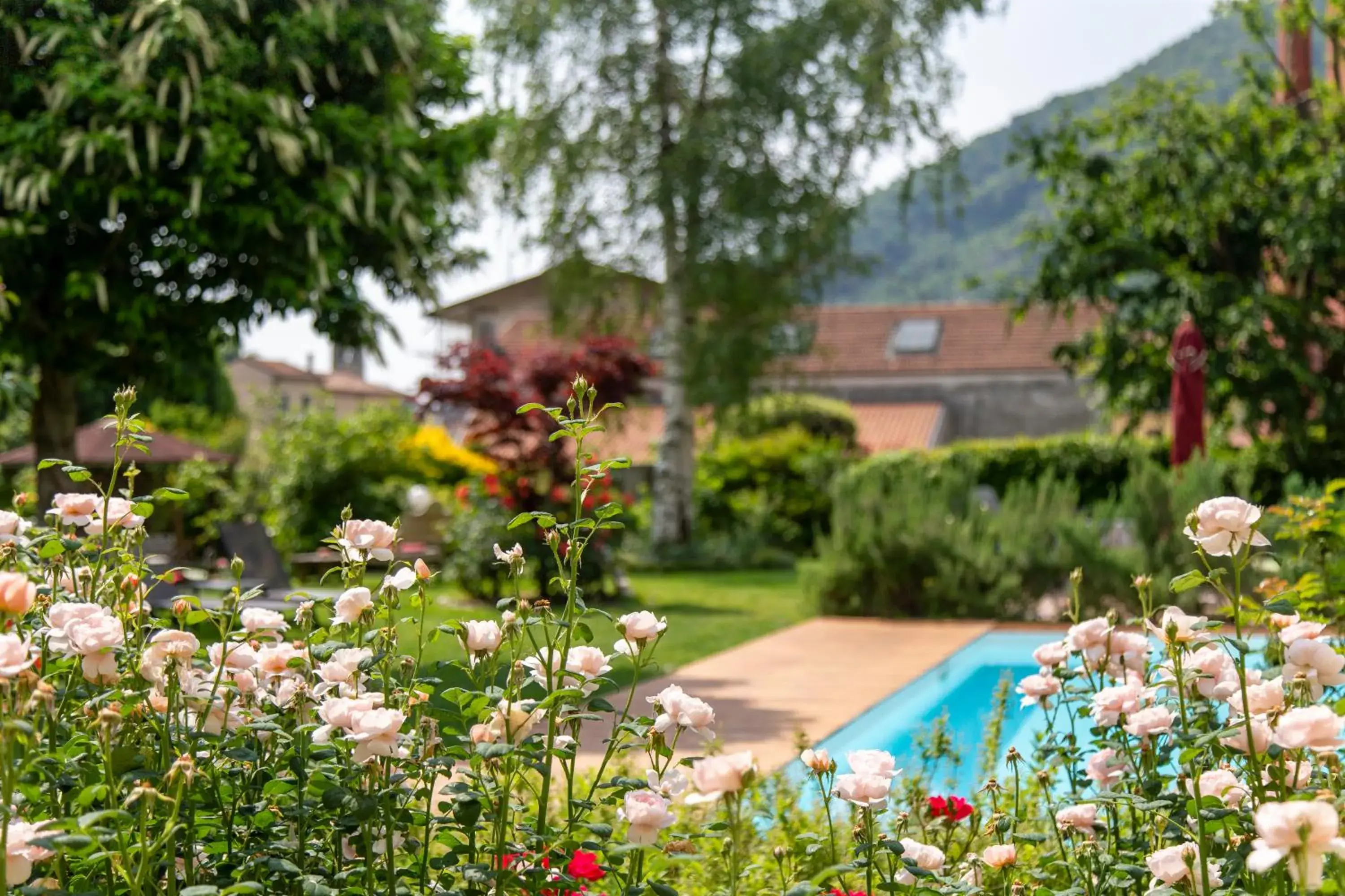 Swimming Pool in Hotel Calvi