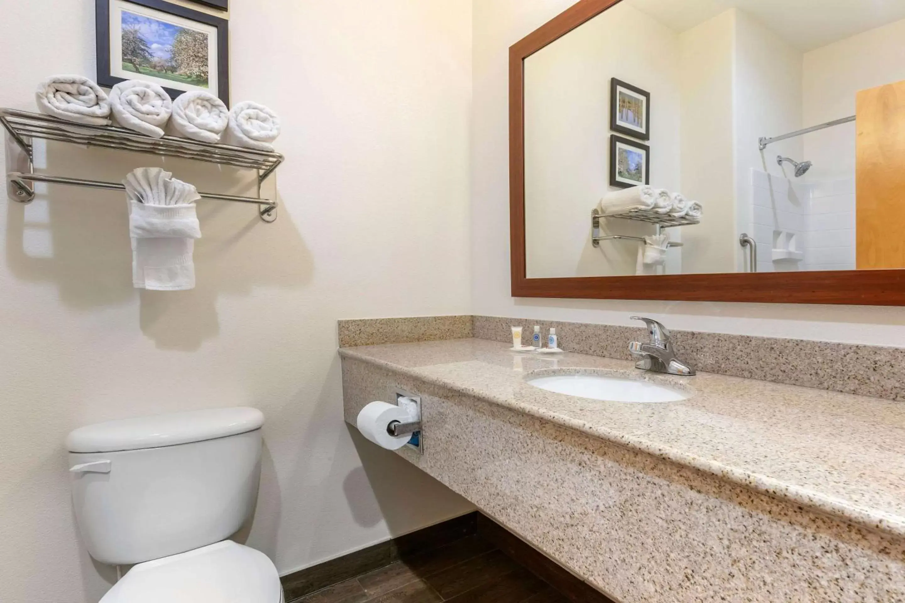 Bathroom in Comfort Suites Batesville