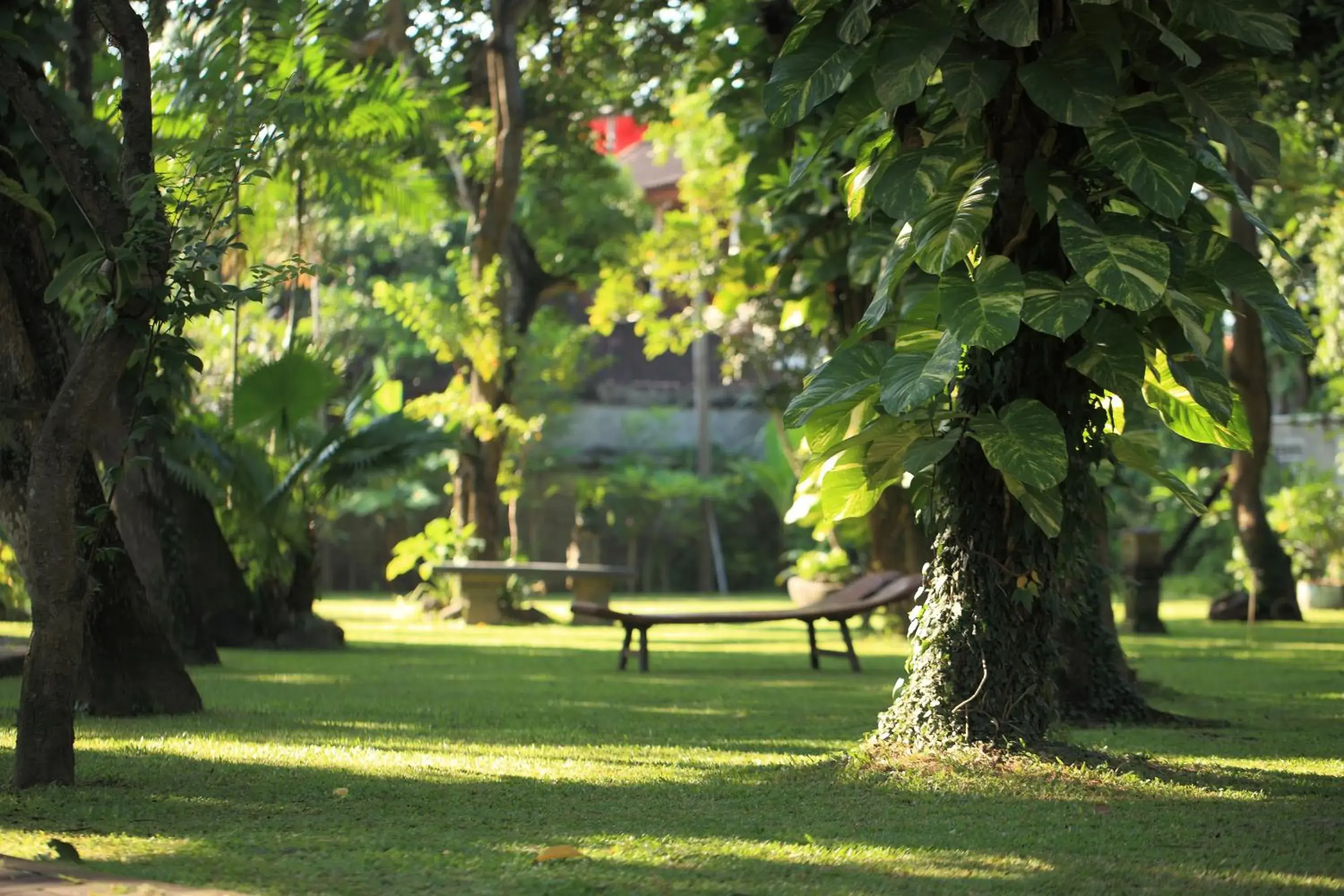 Garden in Matahari Bungalow Hotel