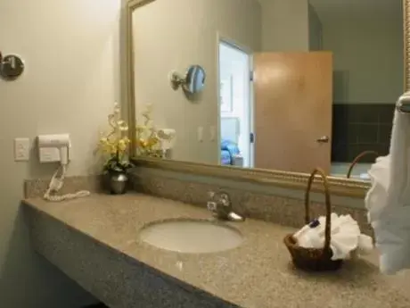 Bathroom in Holiday Inn Express Hotel & Suites San Antonio - Rivercenter Area, an IHG Hotel