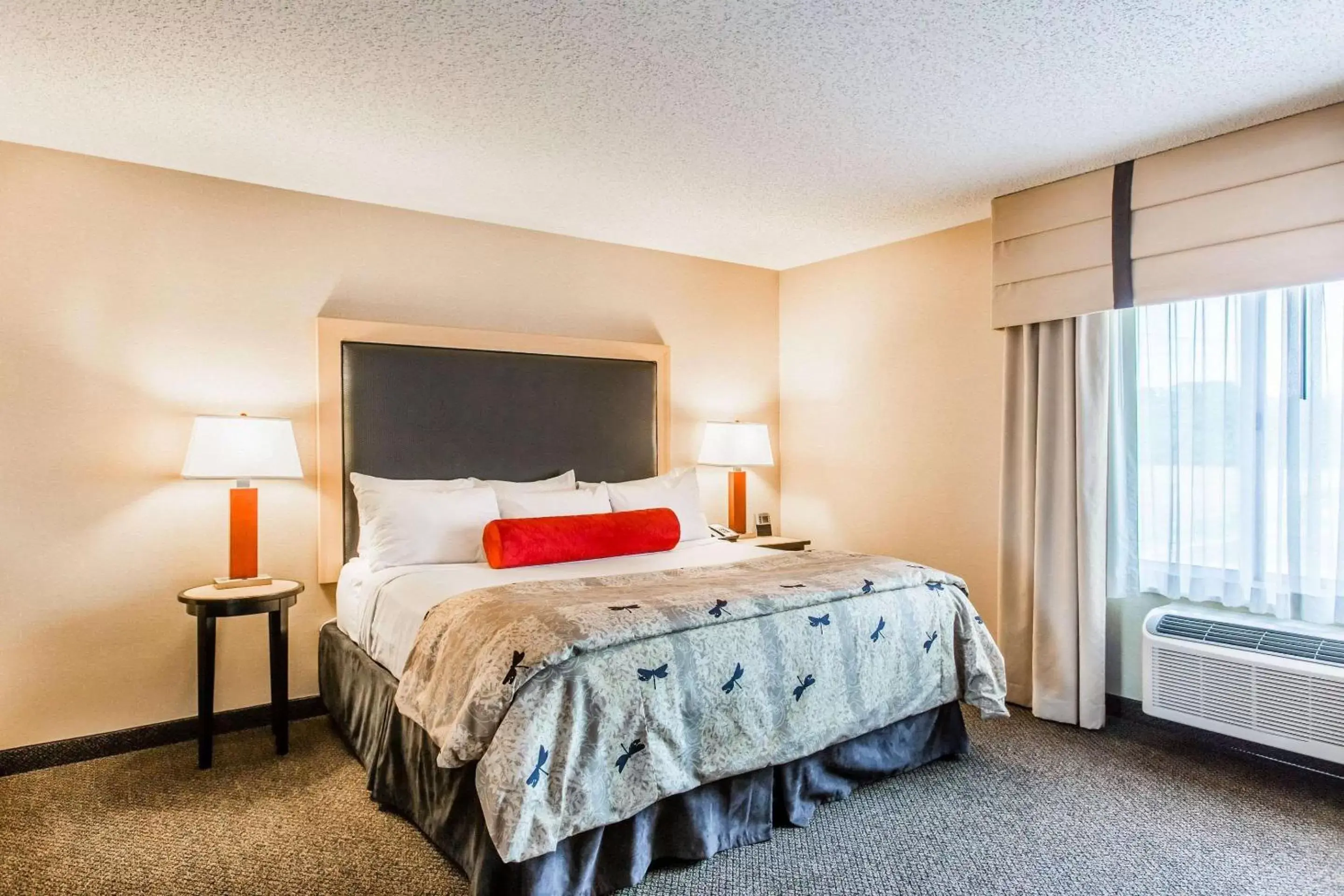 Photo of the whole room, Bed in Cambria Hotel Minneapolis Maple Grove