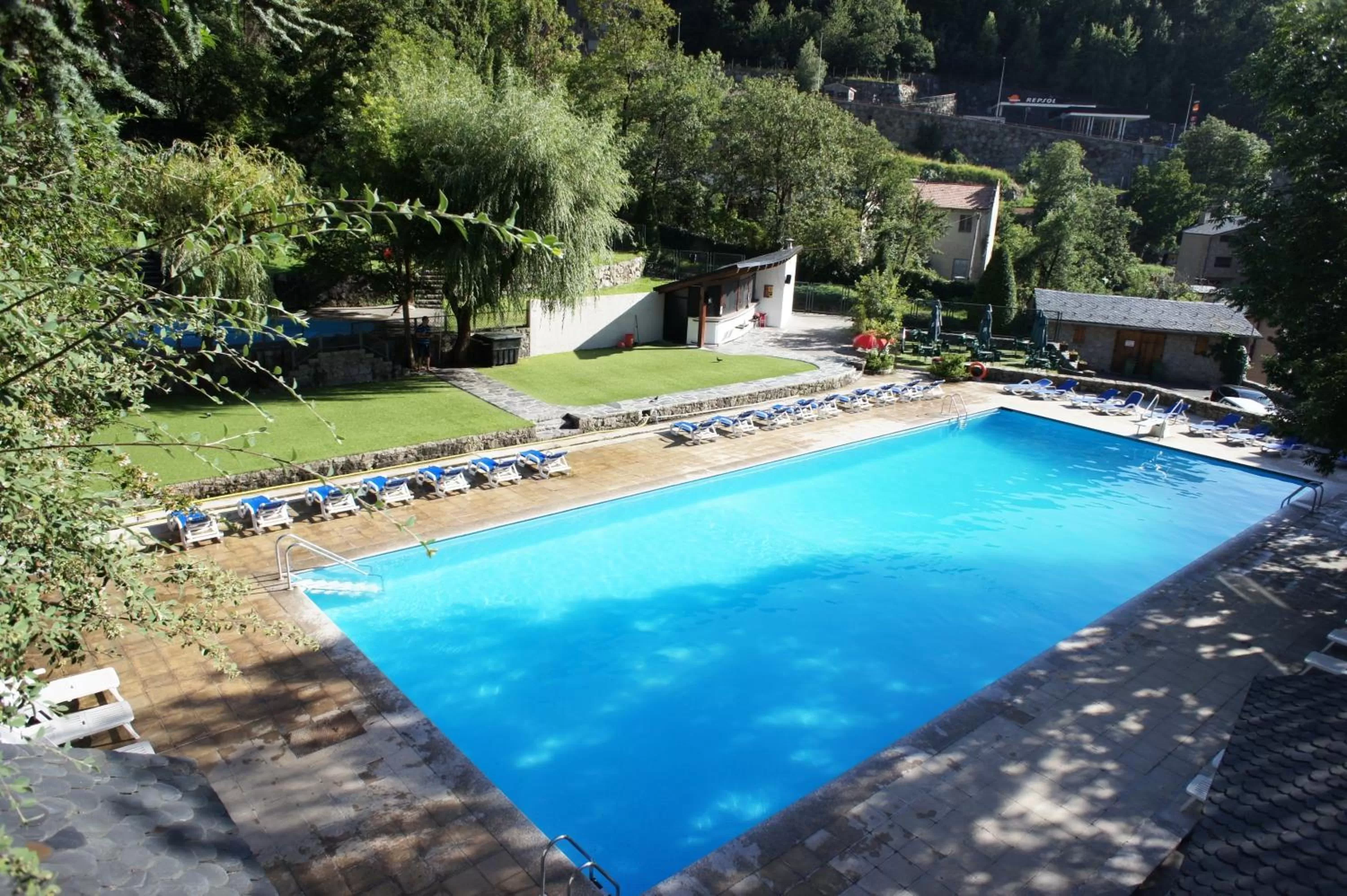 Swimming pool in Hotel Spa Termes Carlemany