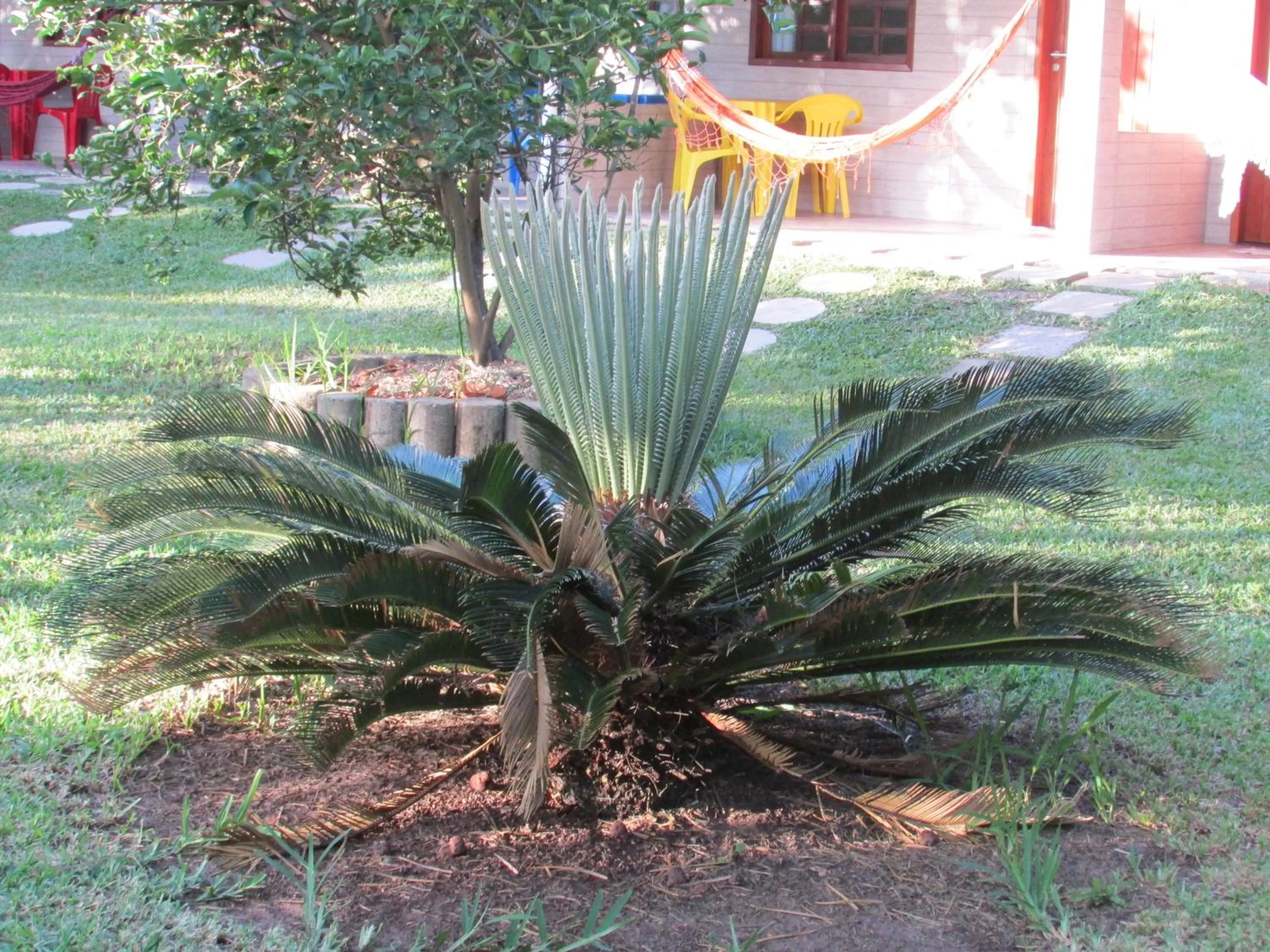 Garden in Pousada Ipitanga IV