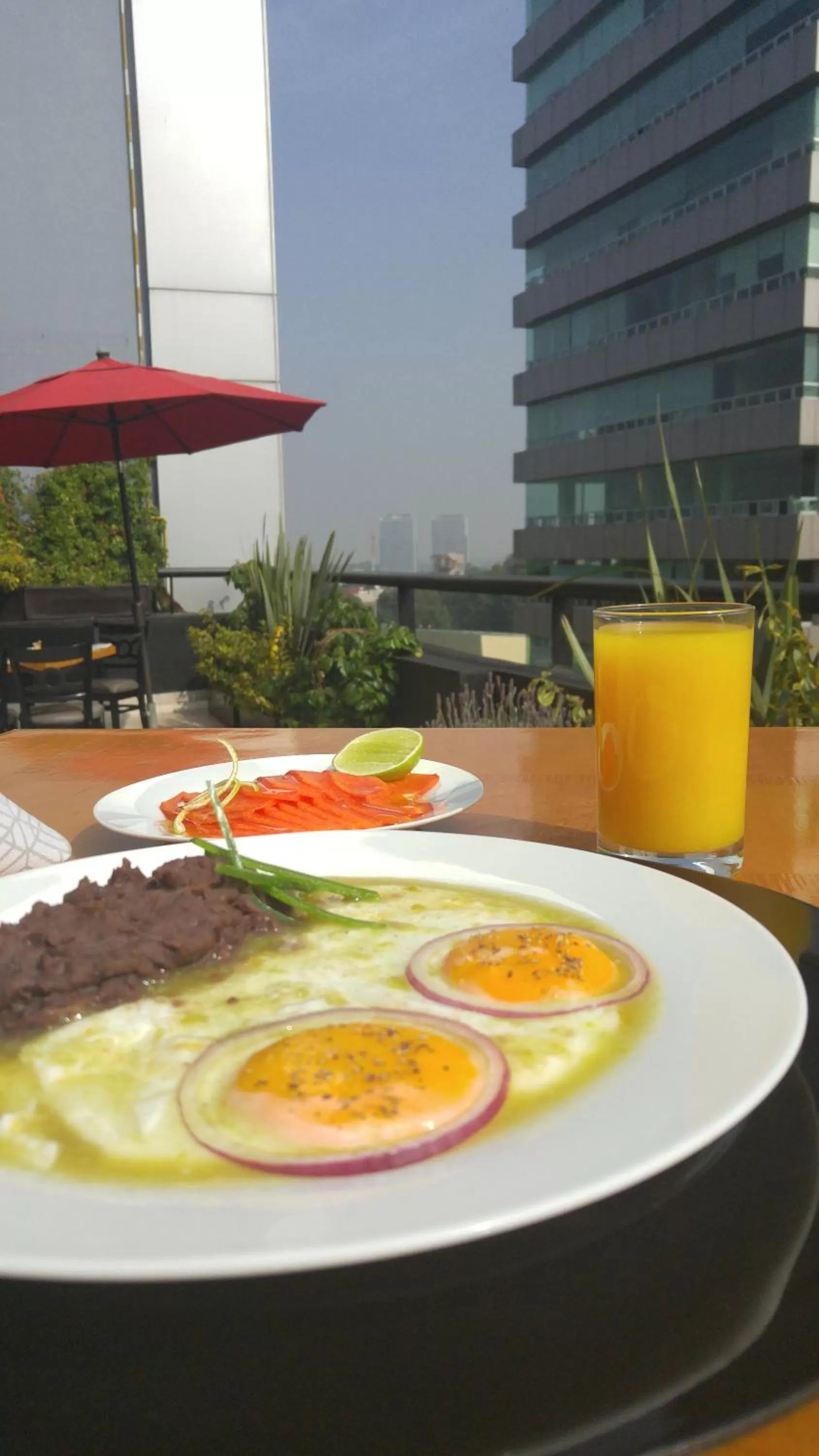 Food close-up in Alteza Polanco