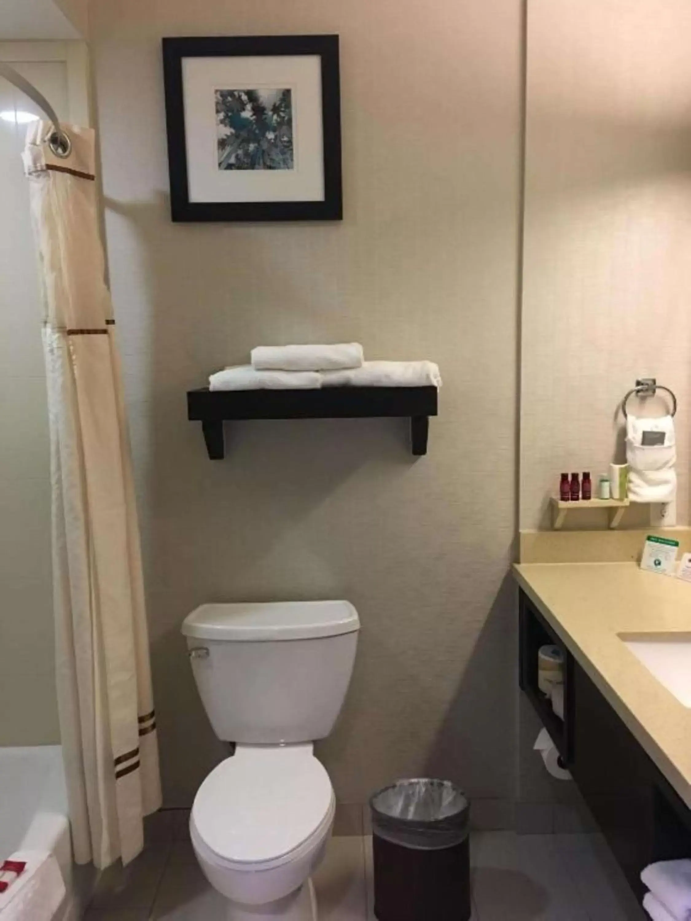 Bathroom in Best Western Premier Ashton Suites - Willowbrook