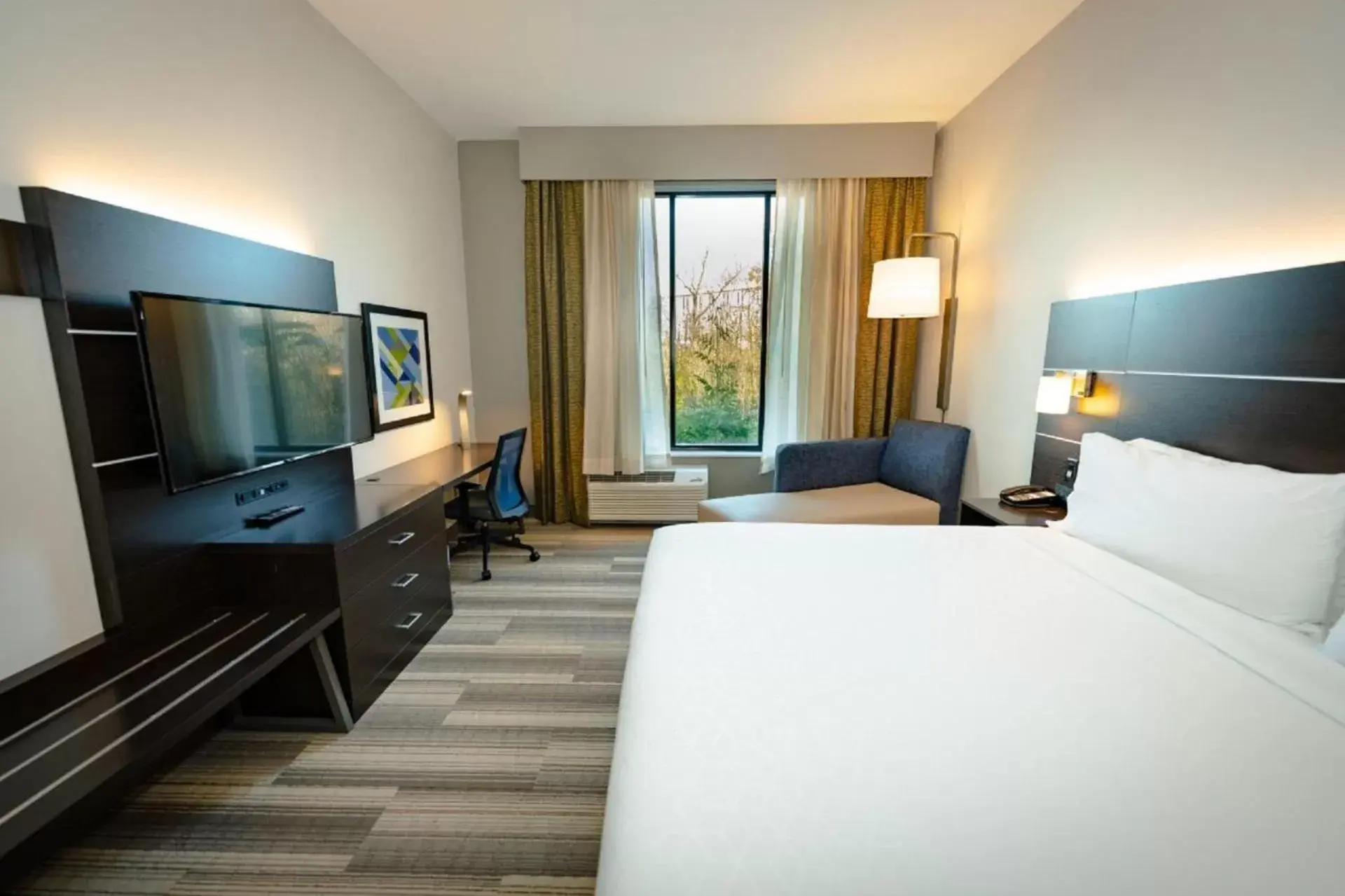 Bed, TV/Entertainment Center in Holiday Inn Express & Suites Franklin - Berry Farms, an IHG Hotel